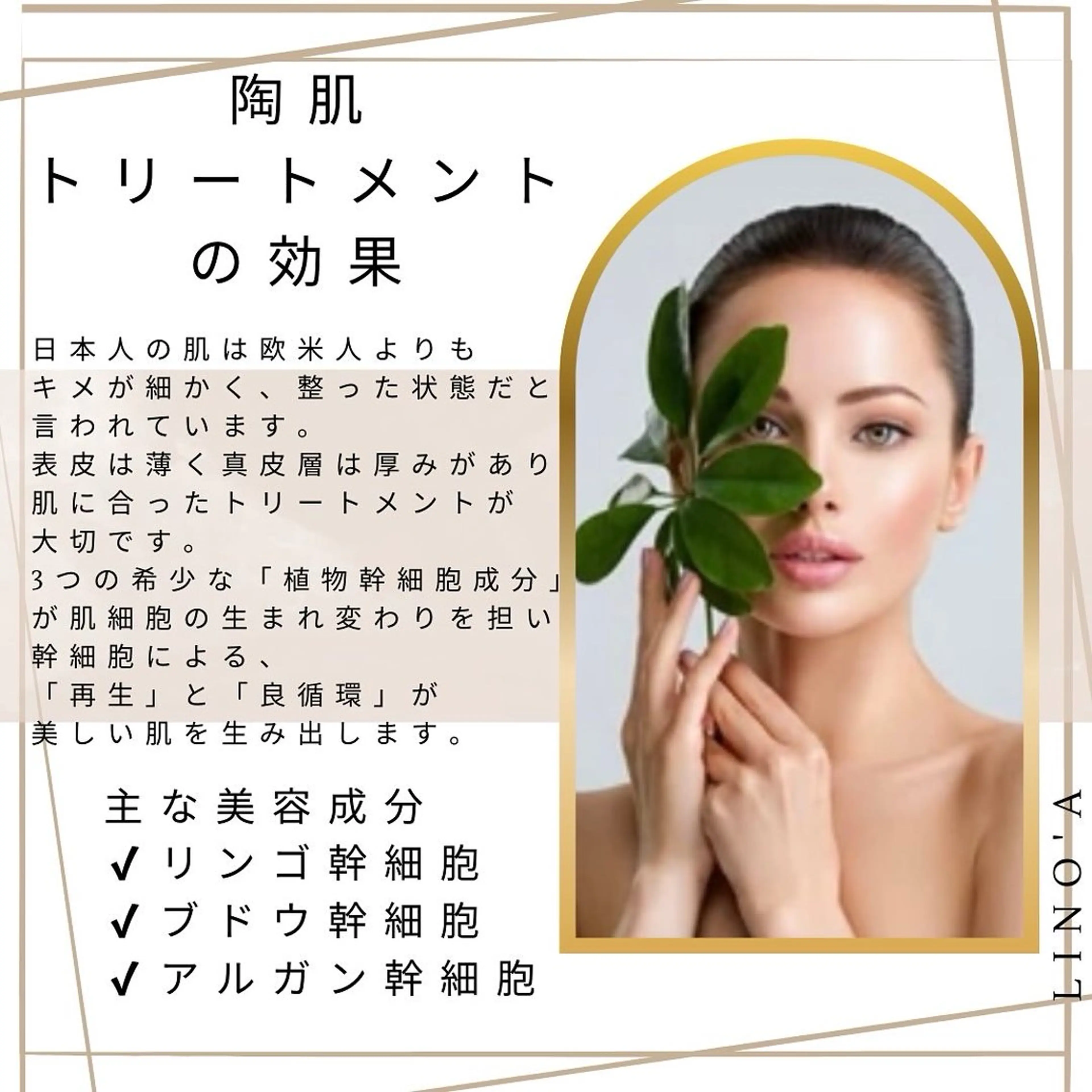 エステ リラク Salon💫 Lino'a柏店のエステ・リラクイメージ