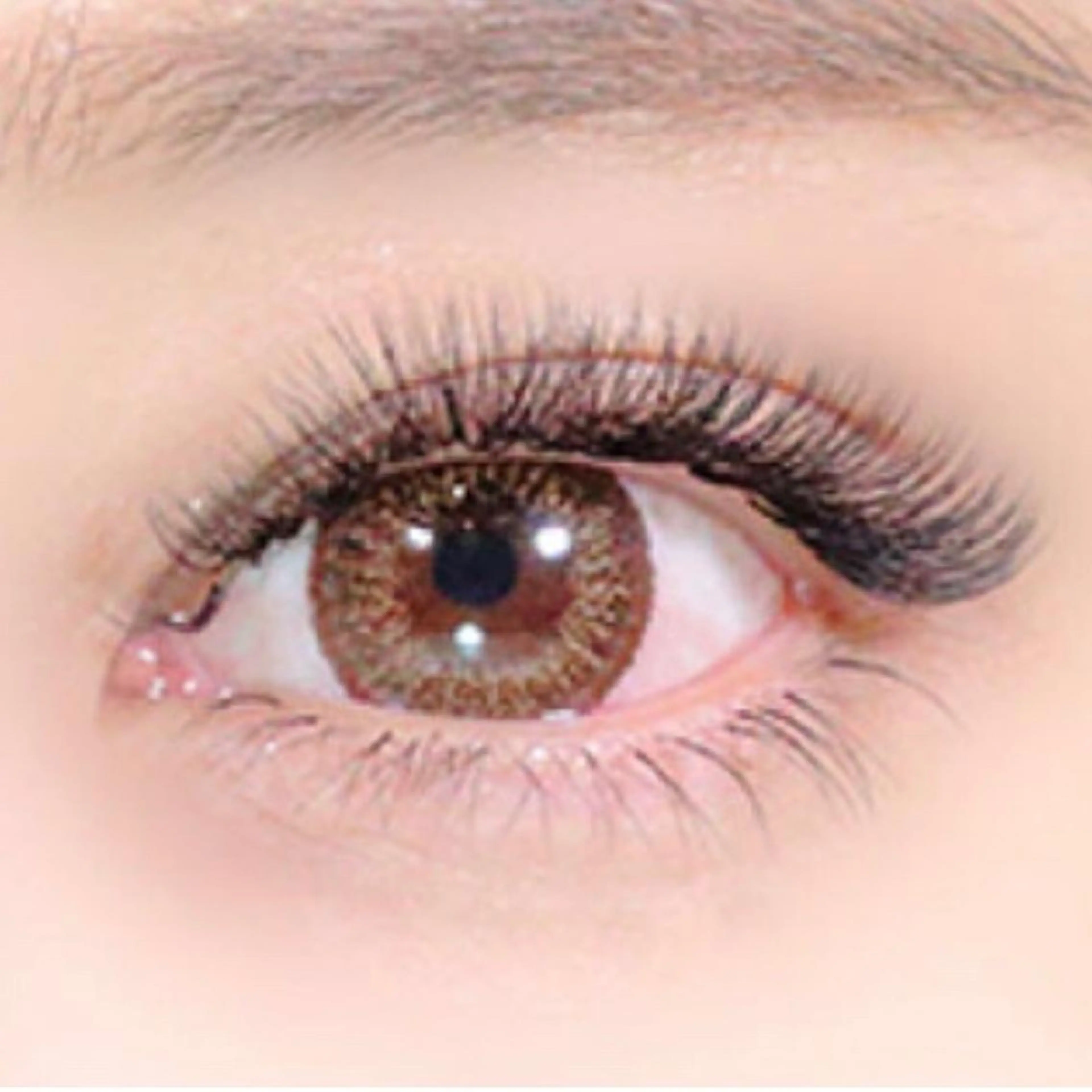 リピーター様限定！ボリュームラッシュちょい足し40束の写真