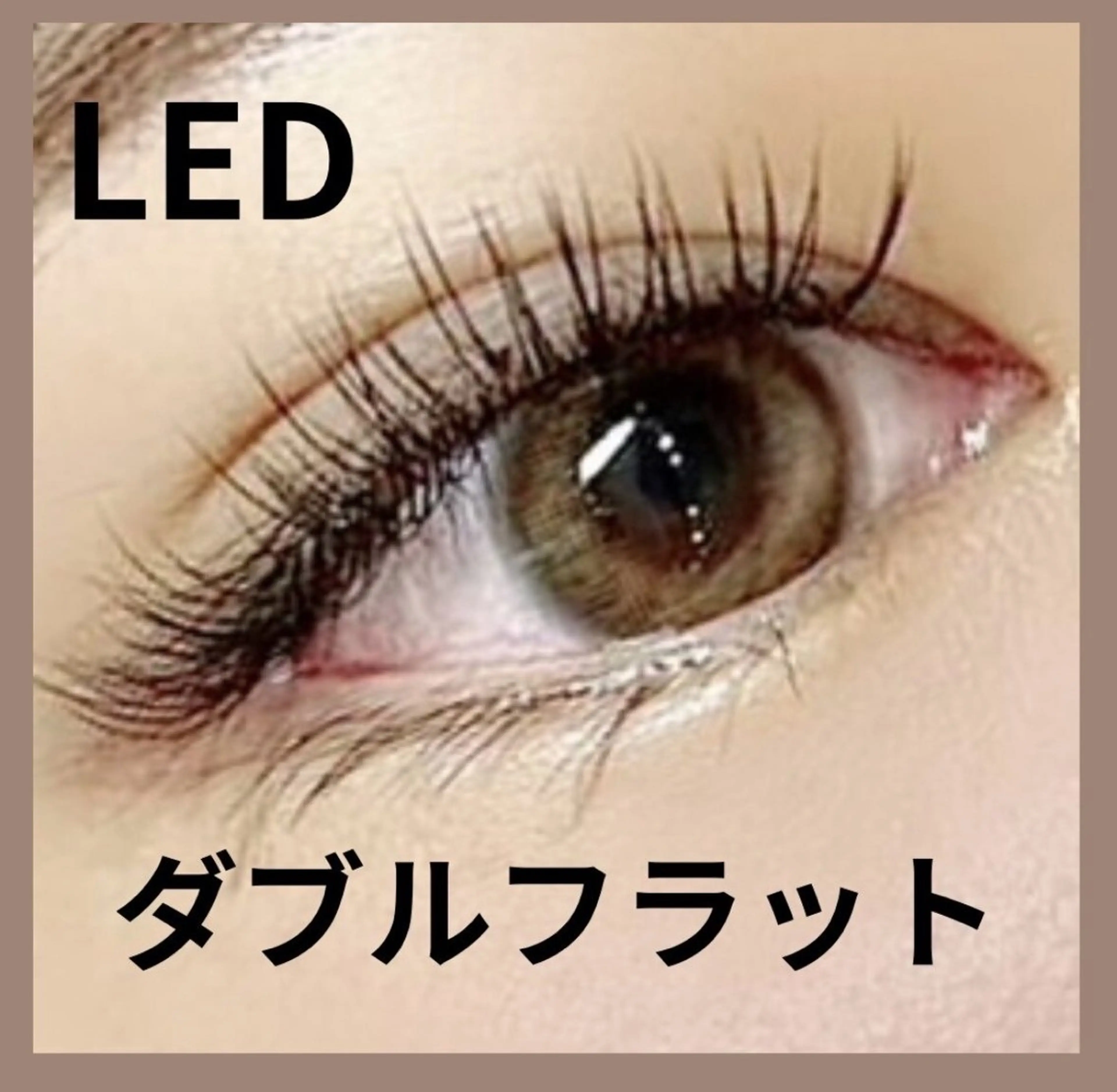 平日のみ【束感&持続力】LEDダブルフラットラッシュ 80束の写真