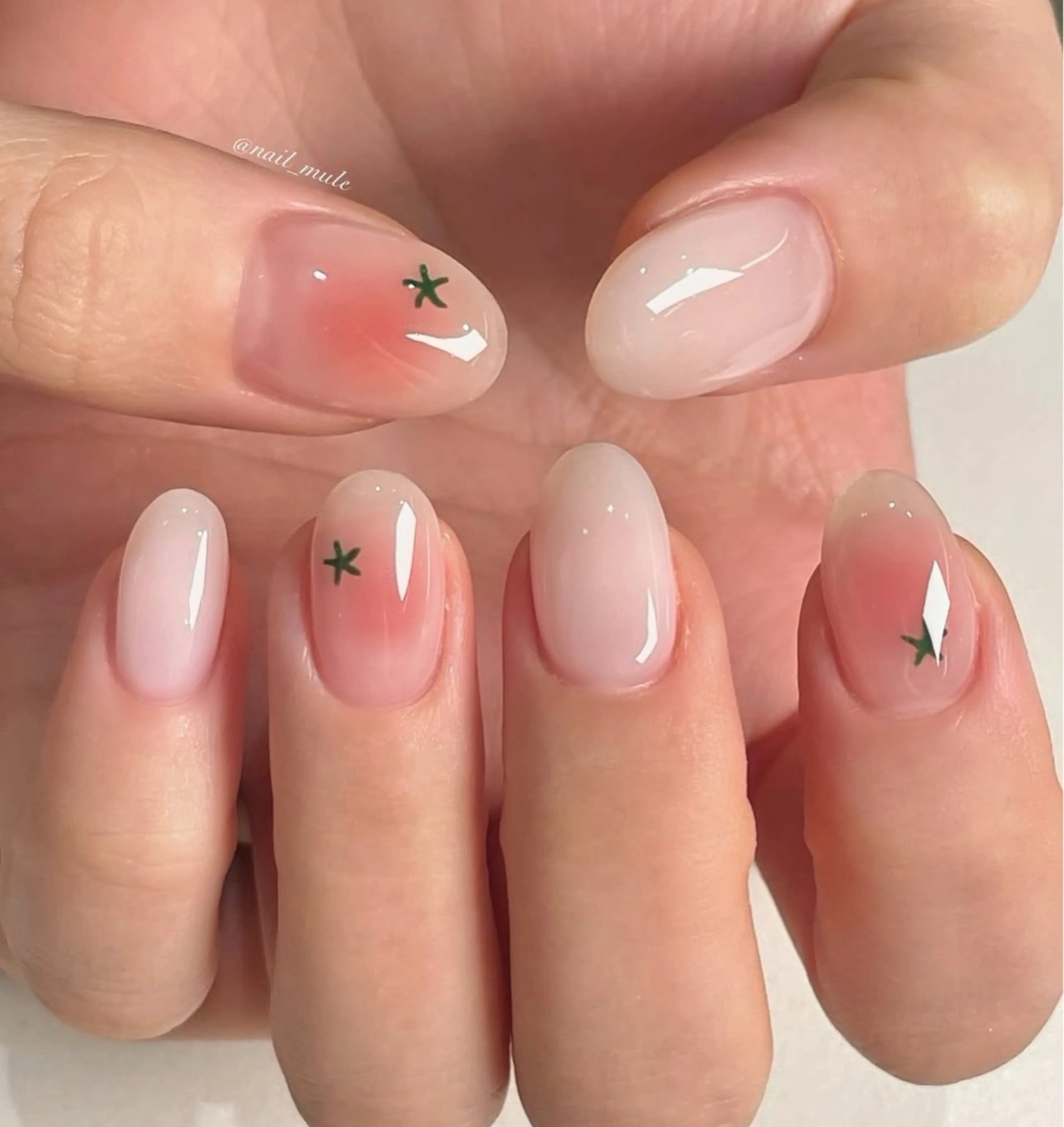 ネイル チークネイル フレンチネイル グラデーション 韓国ネイル マグネットネイル Hana nail所属・Hana Nailのネイルデザイン