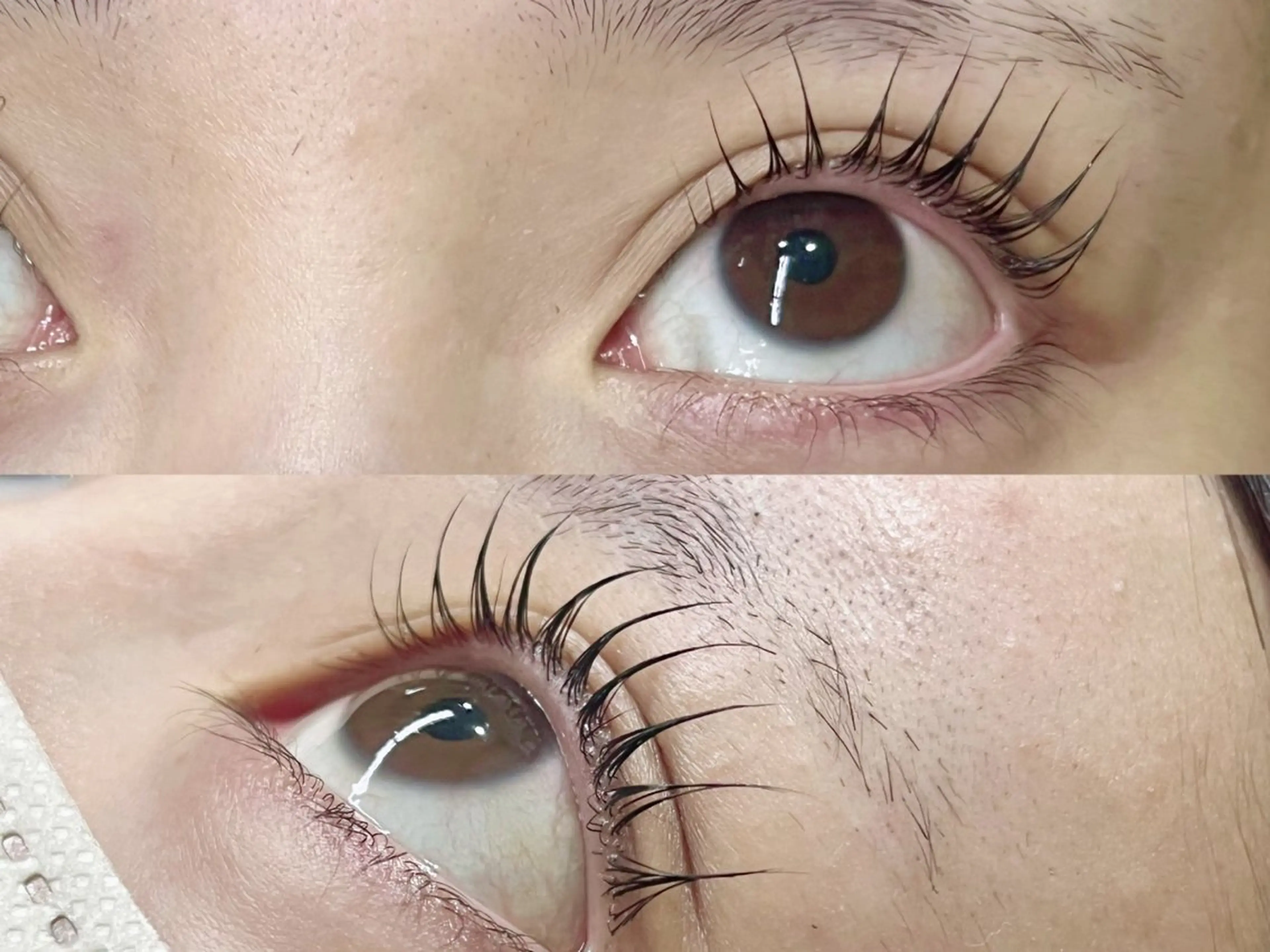 マツエク・マツパ パリジェンヌラッシュリフト Lupines🐱 SHIHORIのマツエク・マツパデザイン