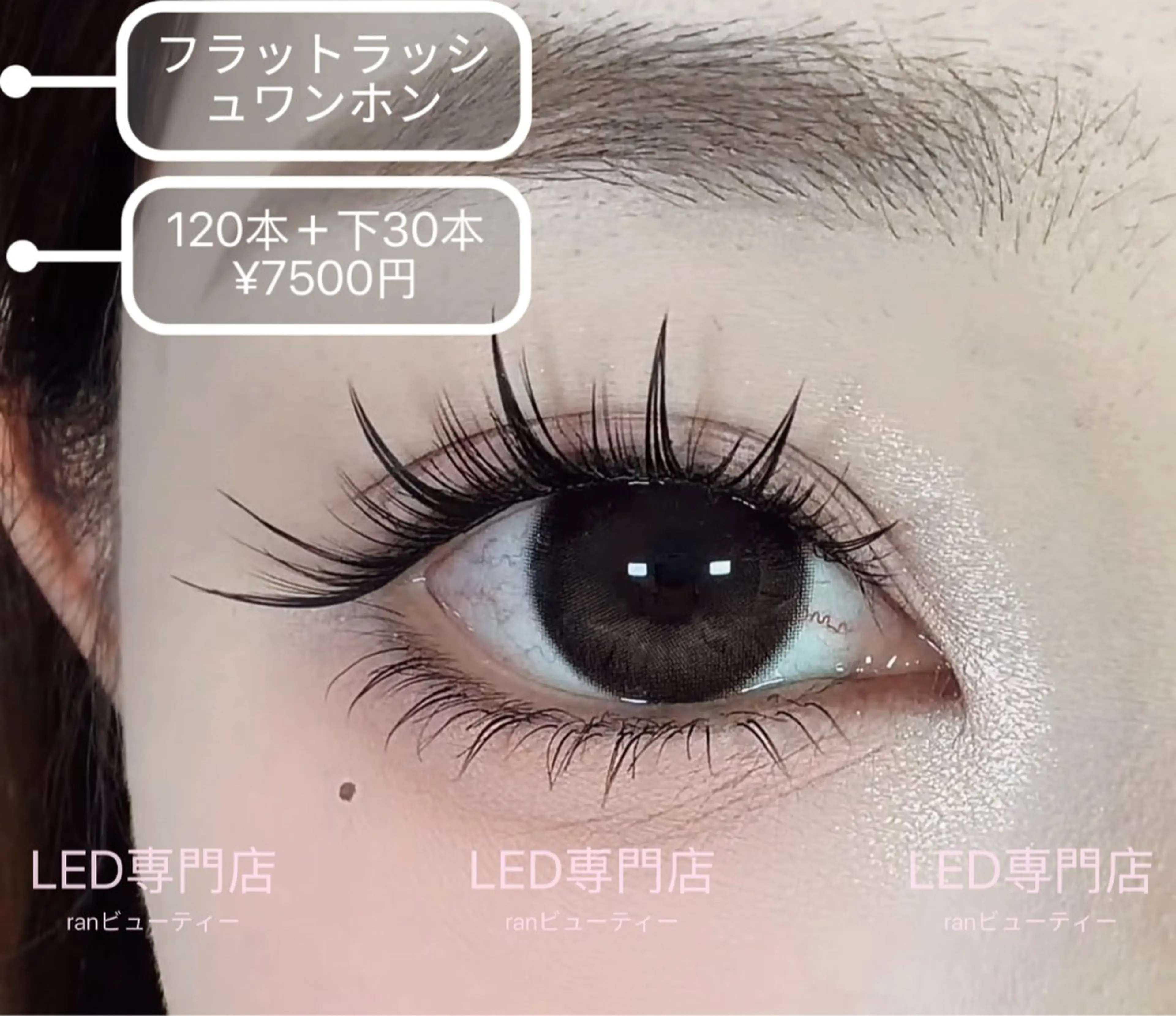 💕人気NO.1💕 【LED付き】フラットラッシュワンホン上120本＋下30本￥7500の写真