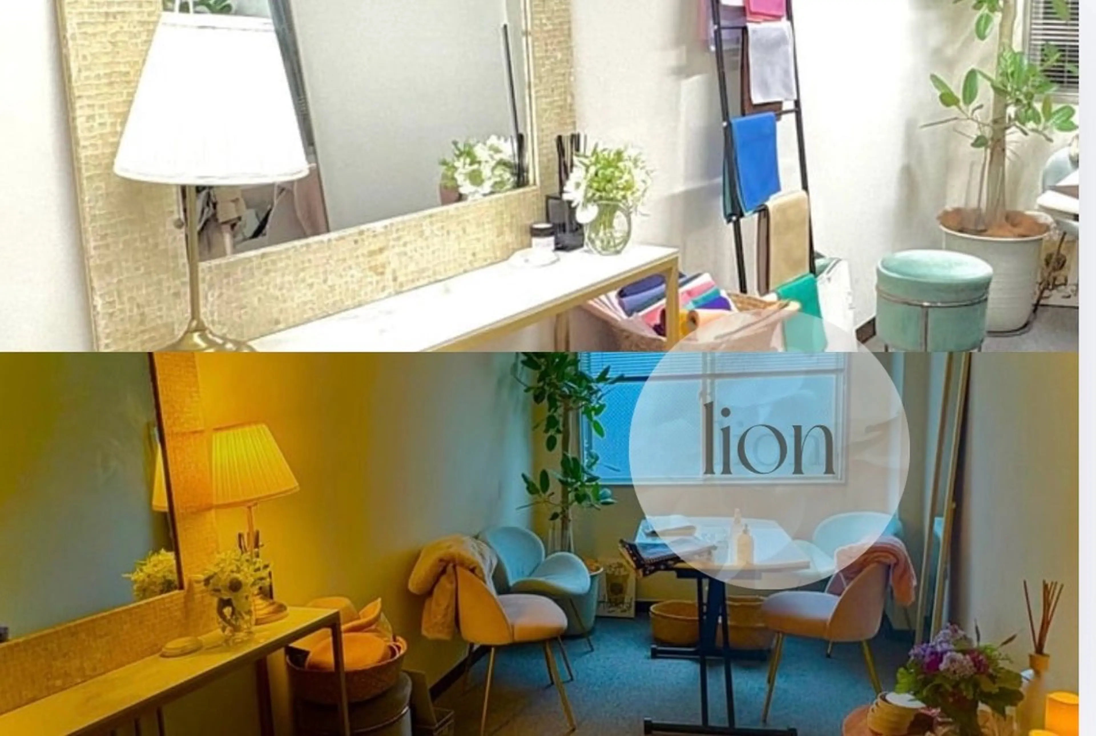 パーソナルカラー lionのその他イメージ