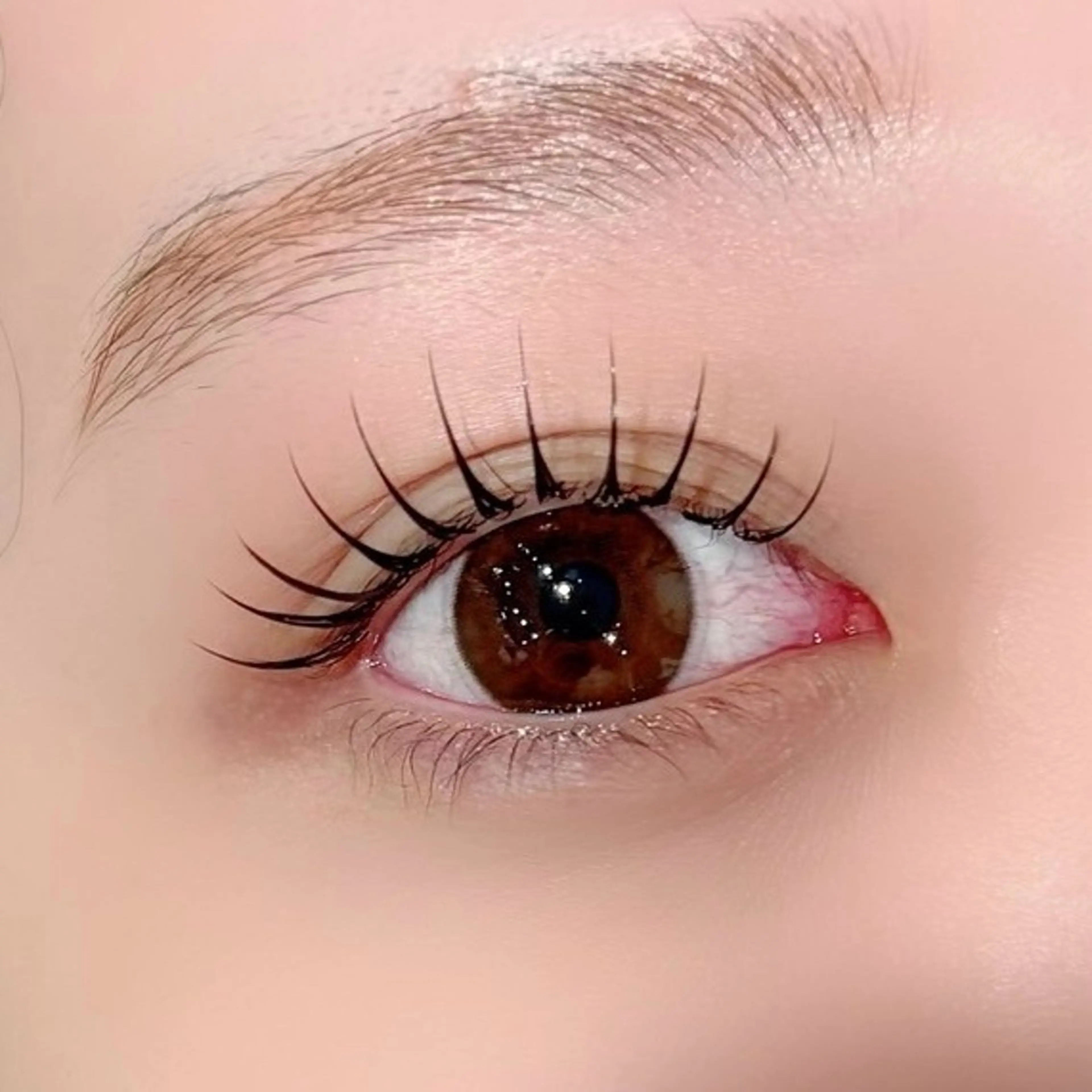 【平日限定】LED flat lash~80本🍥‧₊˚✩彡の写真