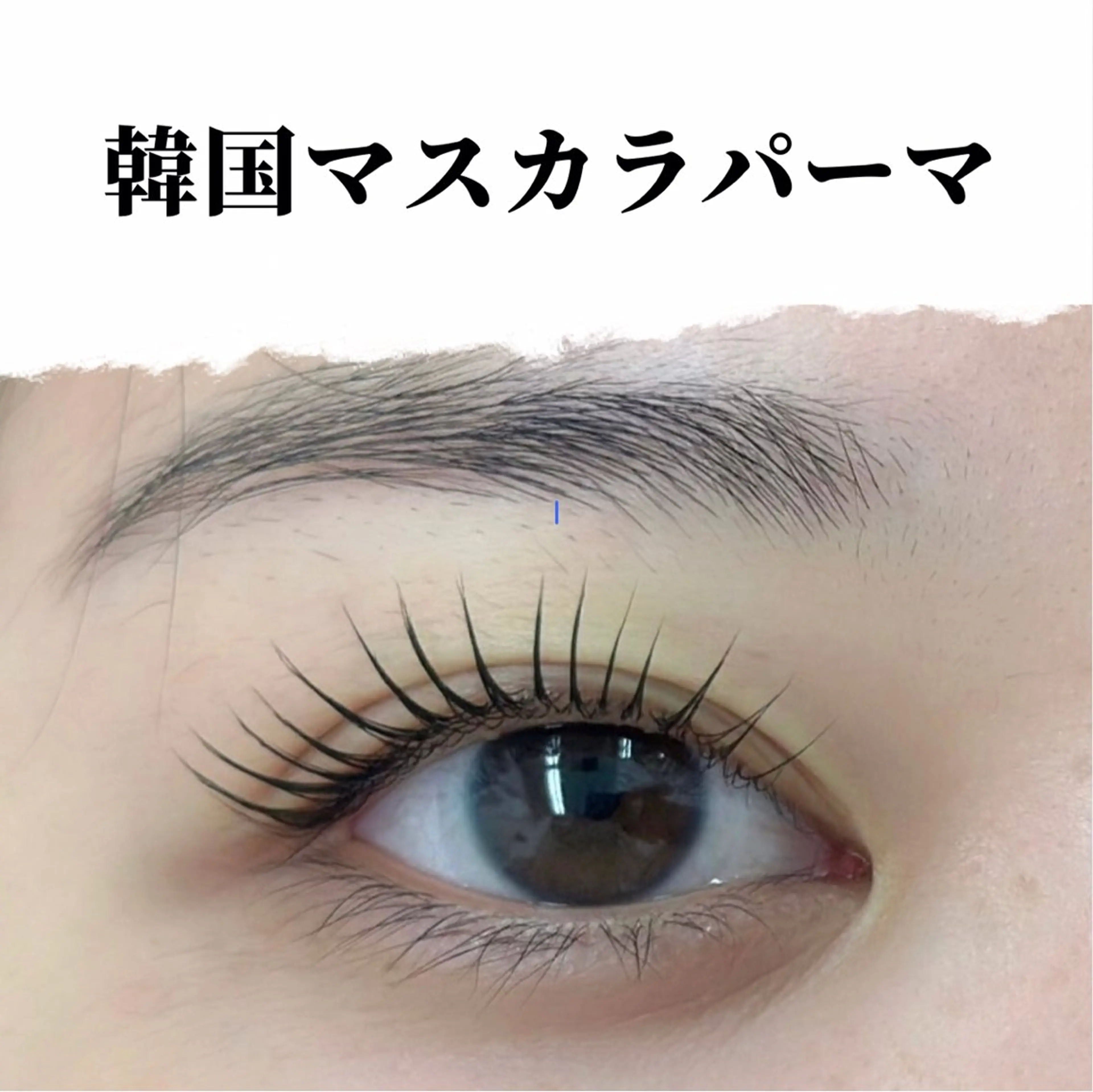 マツエク・マツパ Fallon Beautyのマツエク・マツパデザイン