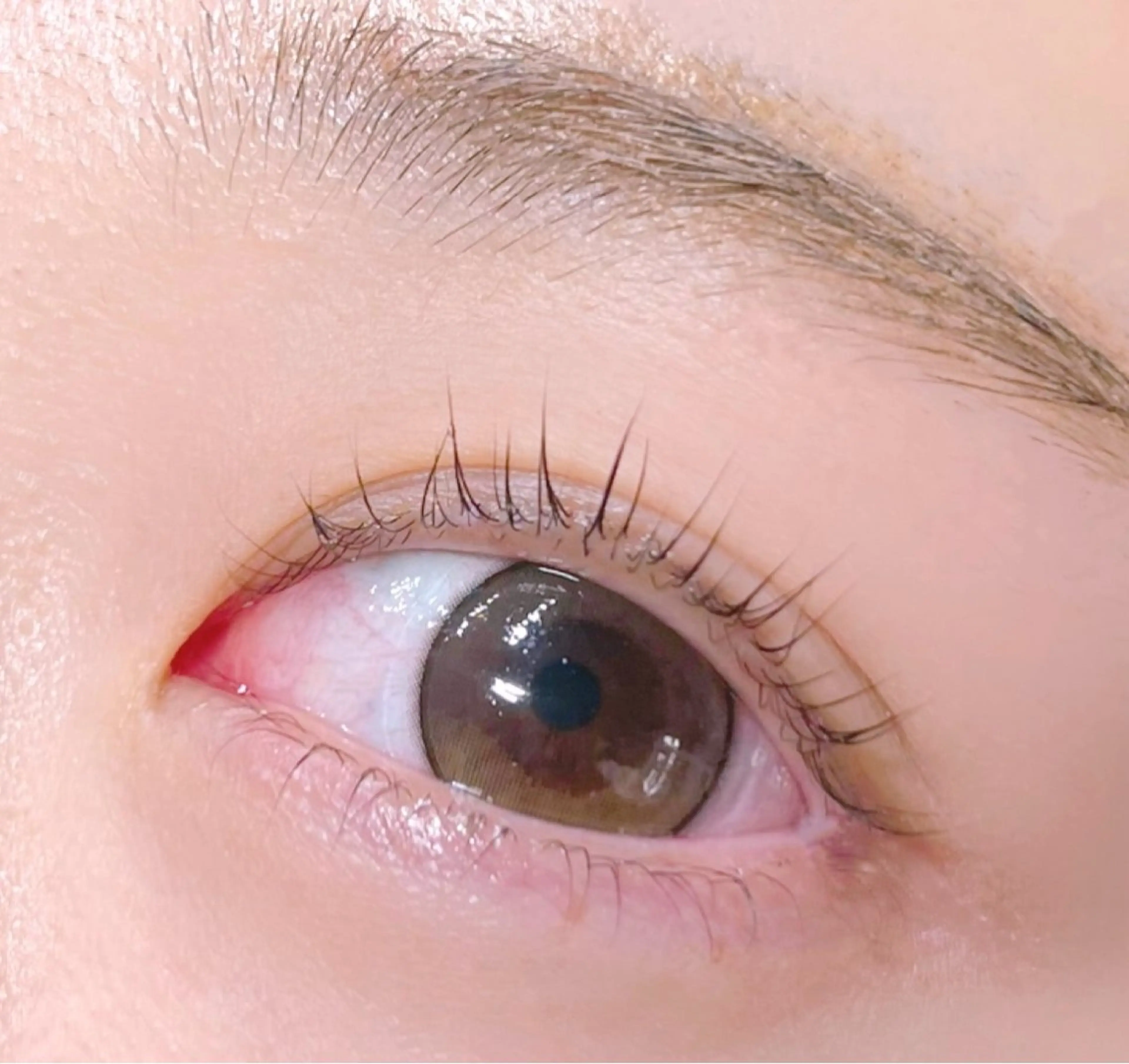 マツエク・マツパ IIJIMA /まつパ/パリ/束感のマツエク・マツパデザイン