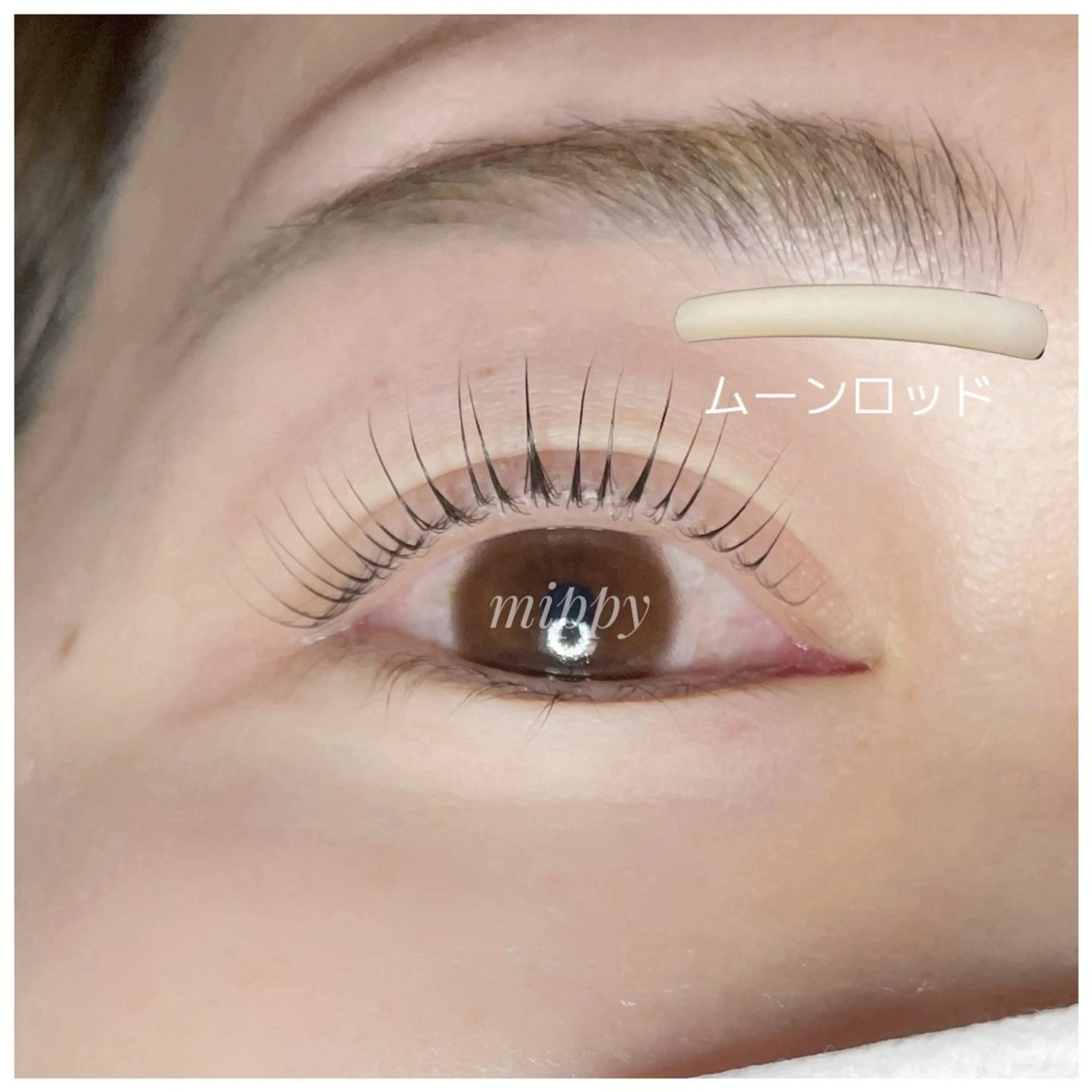 マツエク・マツパ ｍｉｐｐｙ 🪽のマツエク・マツパデザイン