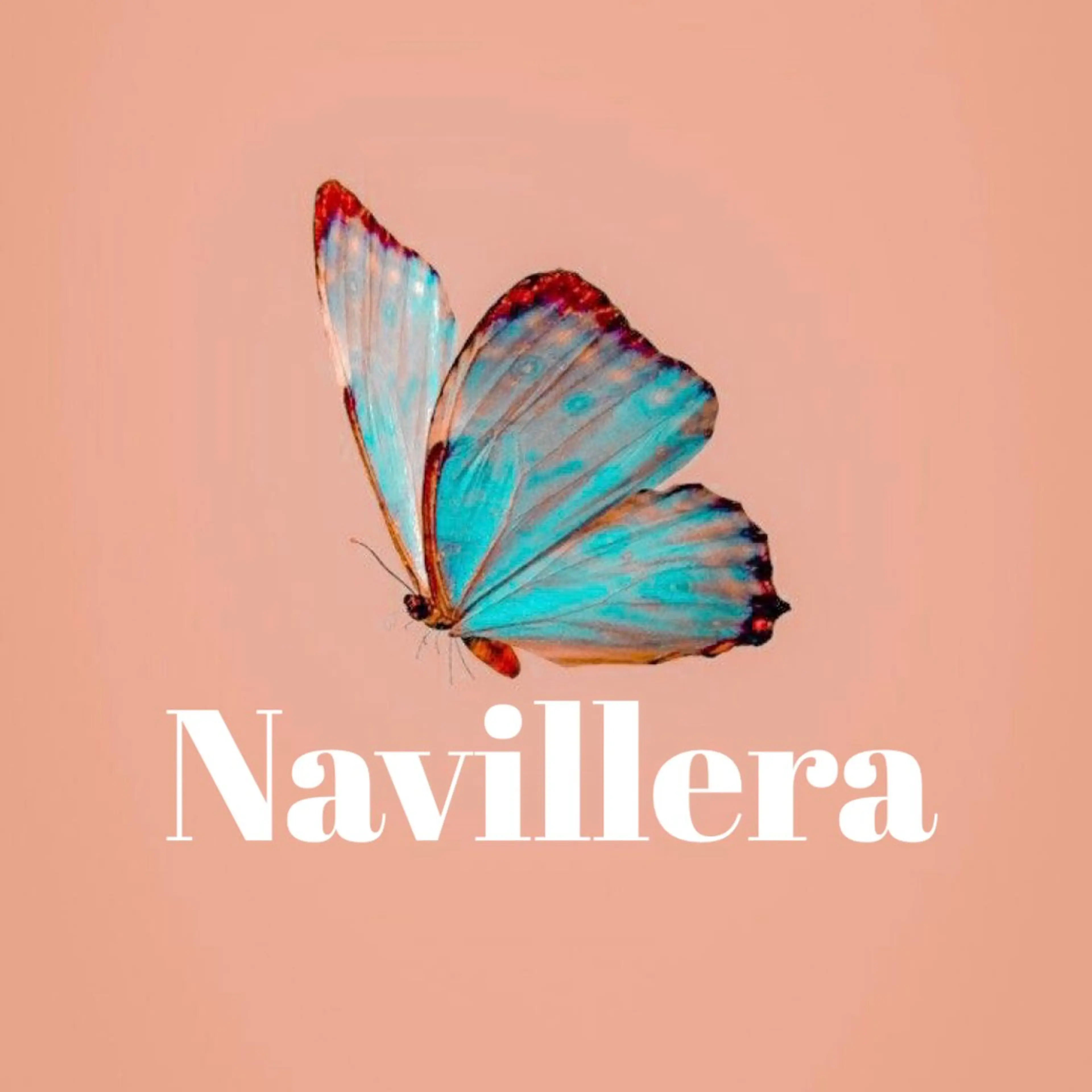 マツエク・マツパ 眉毛/まつ毛パーマ/WAX脱毛 Navillera 自由が丘所属・眉毛／まつ毛サロン Ayamiのマツエク・マツパデザイン