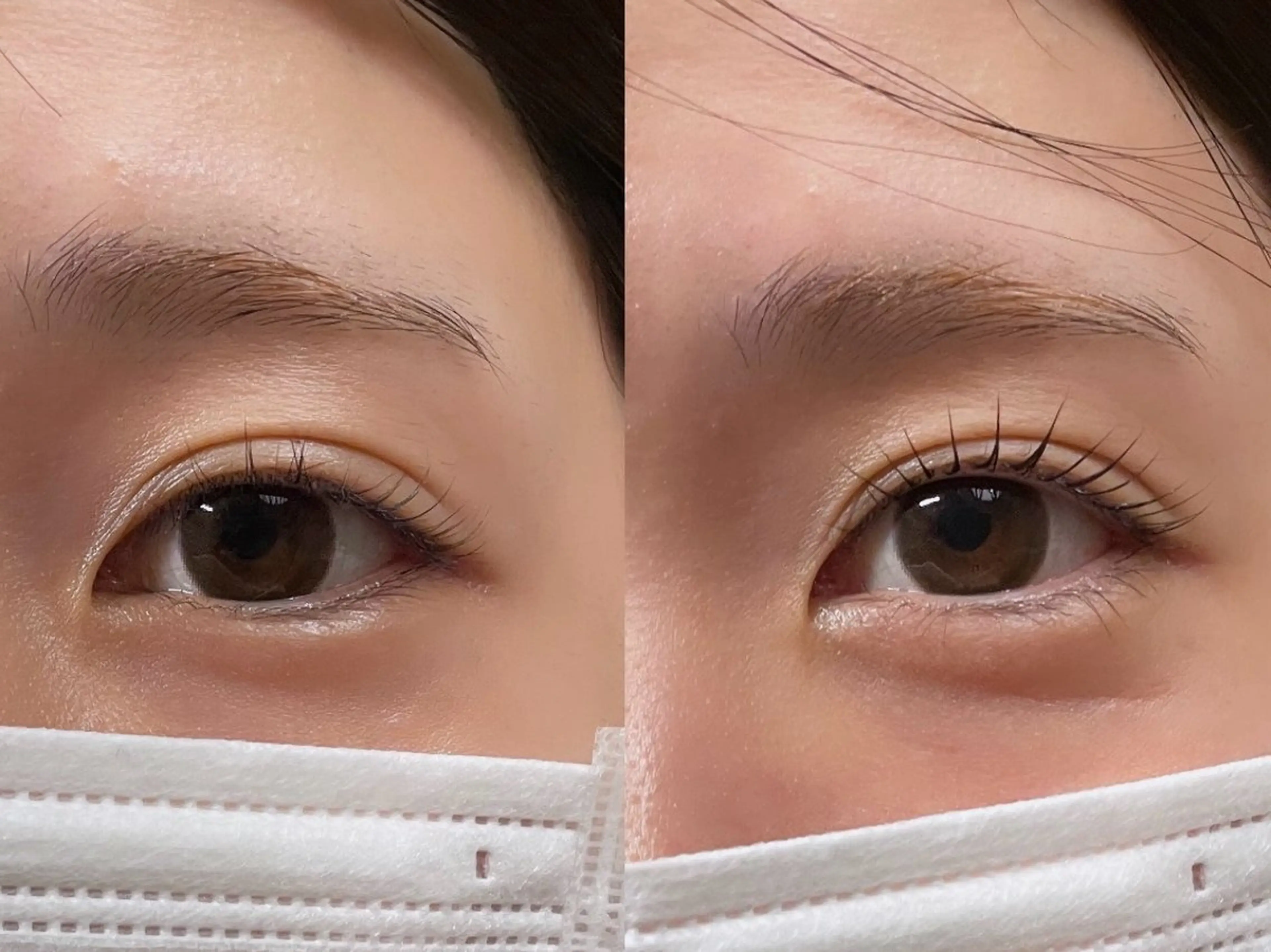 【2月限定】選べるまつげパーマの写真