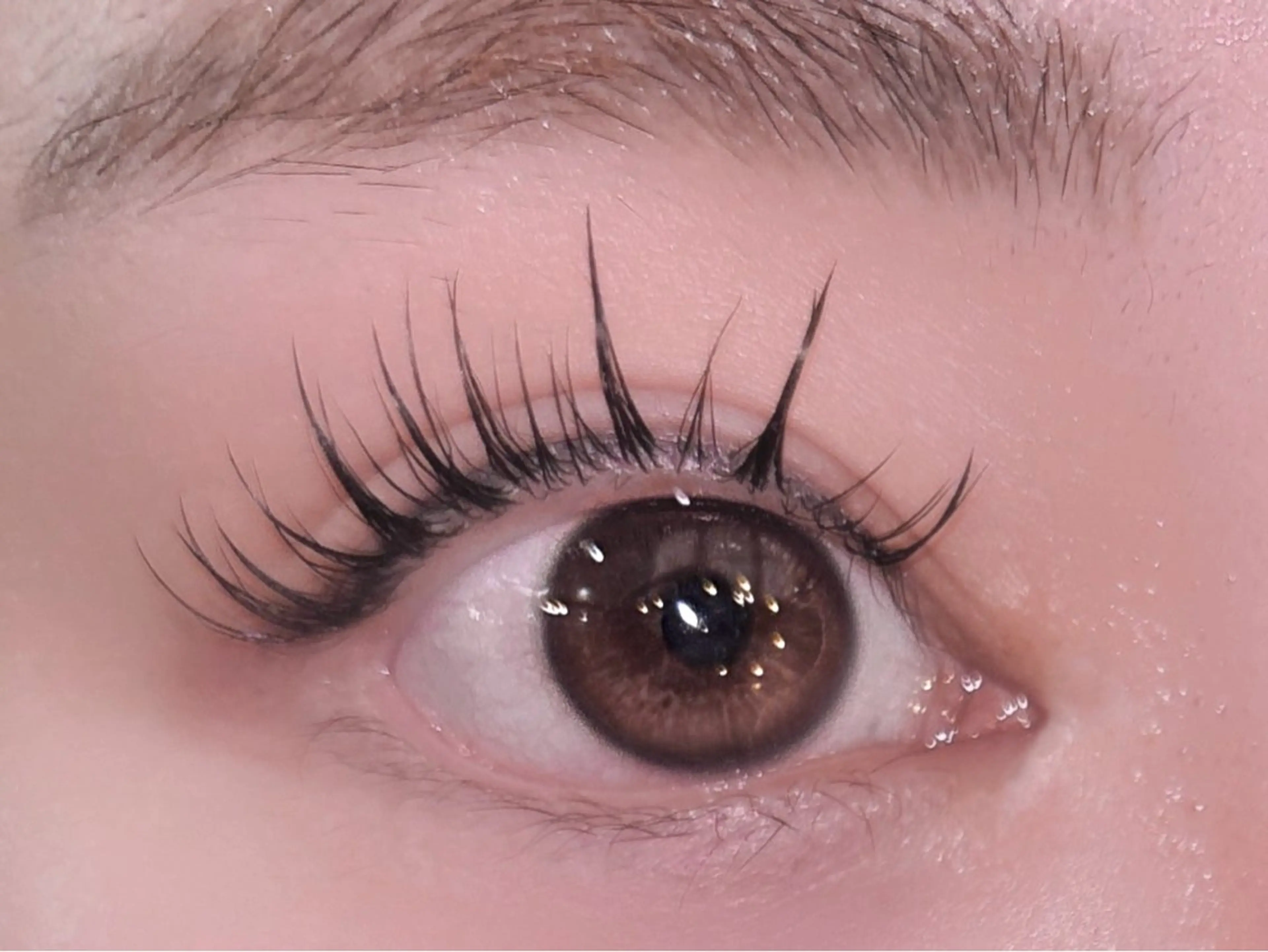 マツエク・マツパ OLIVIA EBISU松村　代表のマツエク・マツパデザイン