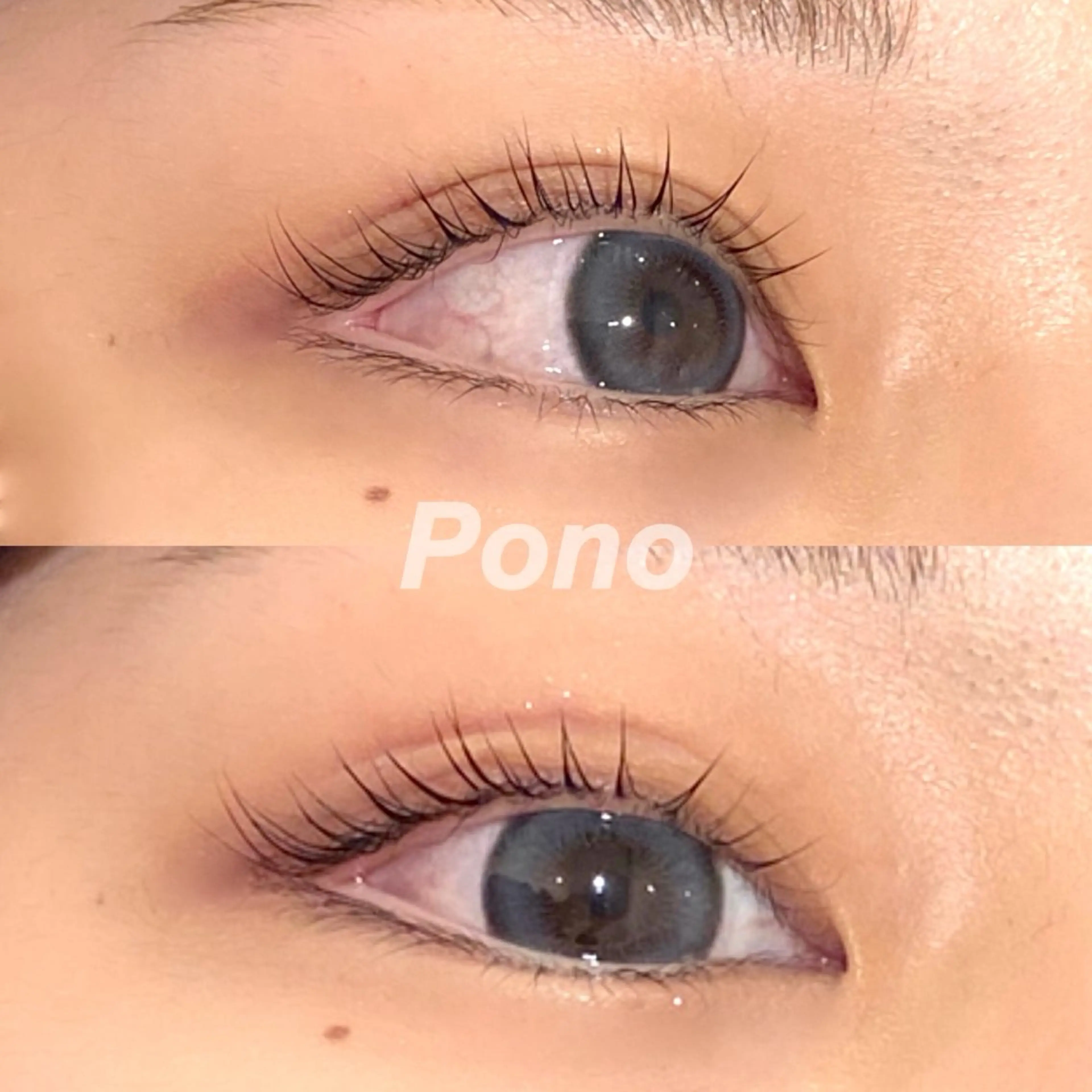 【minimo限定価格🪽ྀི♡】デザイン選べる(パリも選択可能)♡ ̖́-上下まつげパーマ♡コーティング仕上げ♡の写真