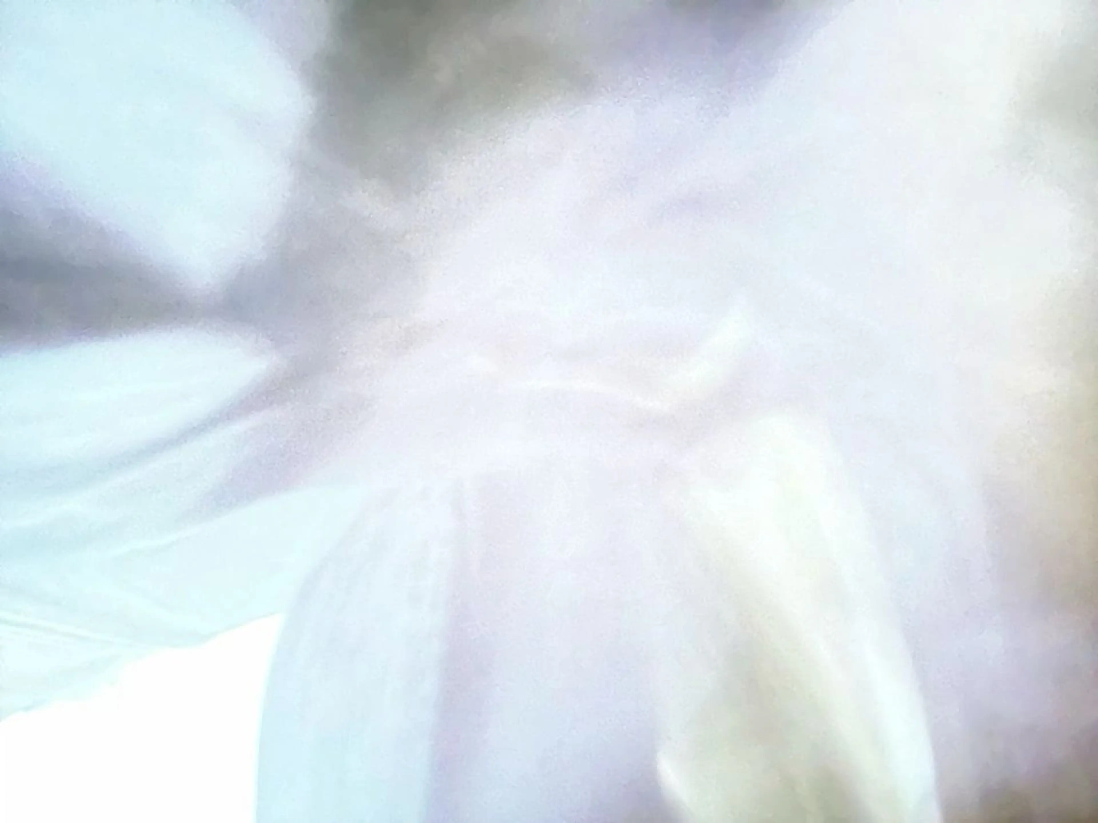 オト/レイヤー/ Wカラー/メンズのヘアスタイル