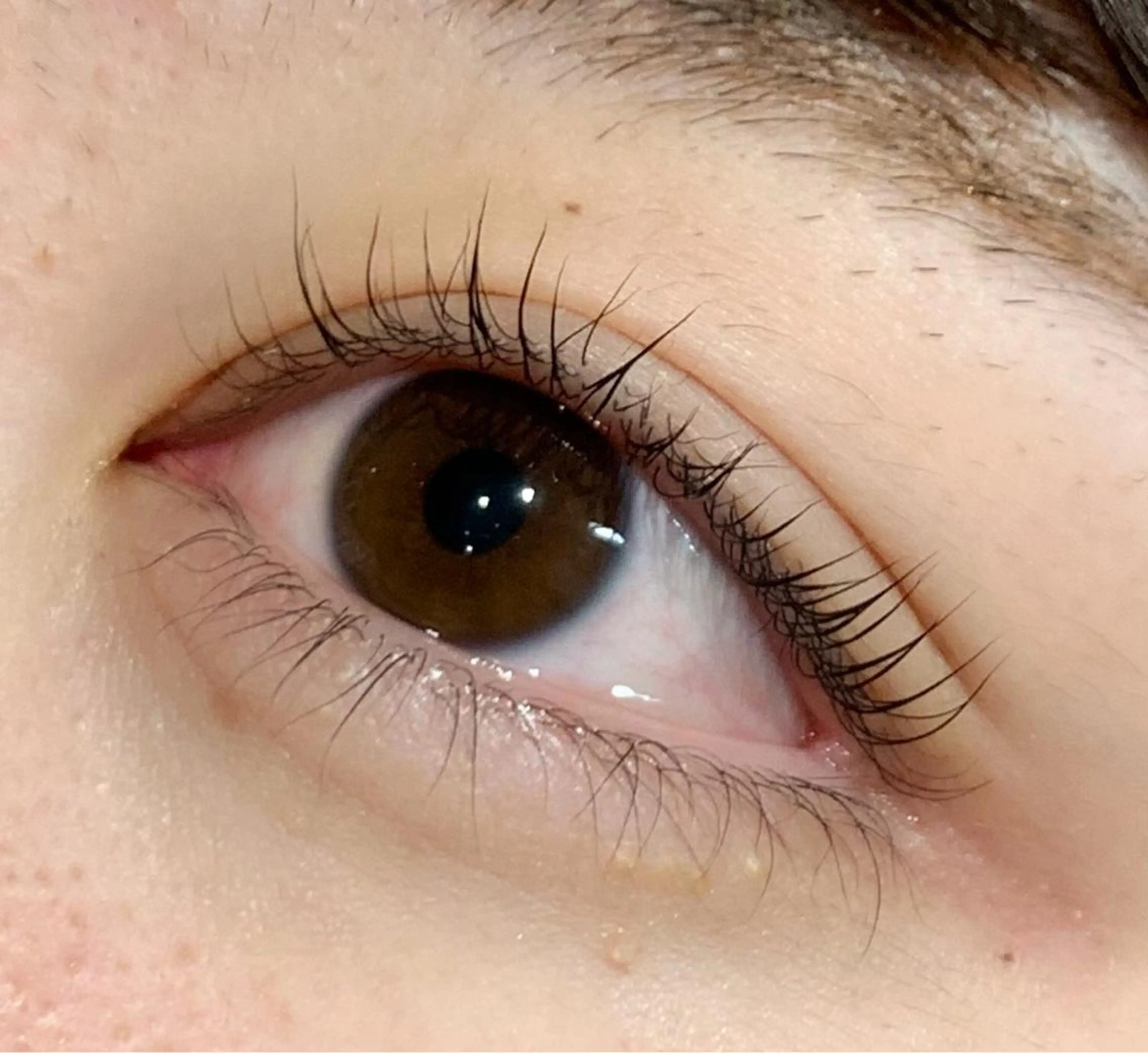 マツエク・マツパ ナチュラル アッパーリフトカール マツパ おとなびと maiのマツエク・マツパデザイン