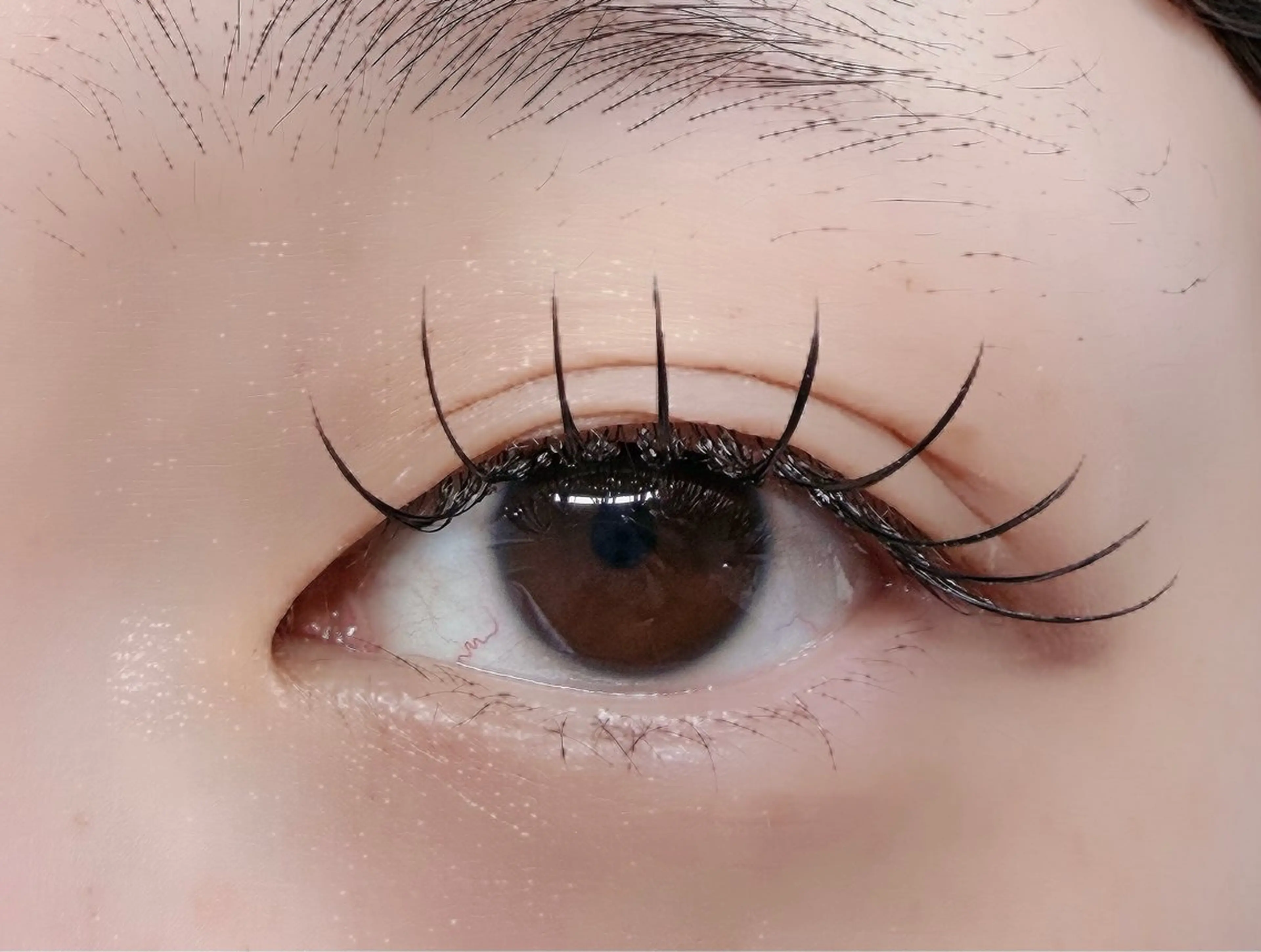 マツエク・マツパ フラットラッシュ マツエク ルチア💞 lucia高田馬場のマツエク・マツパデザイン