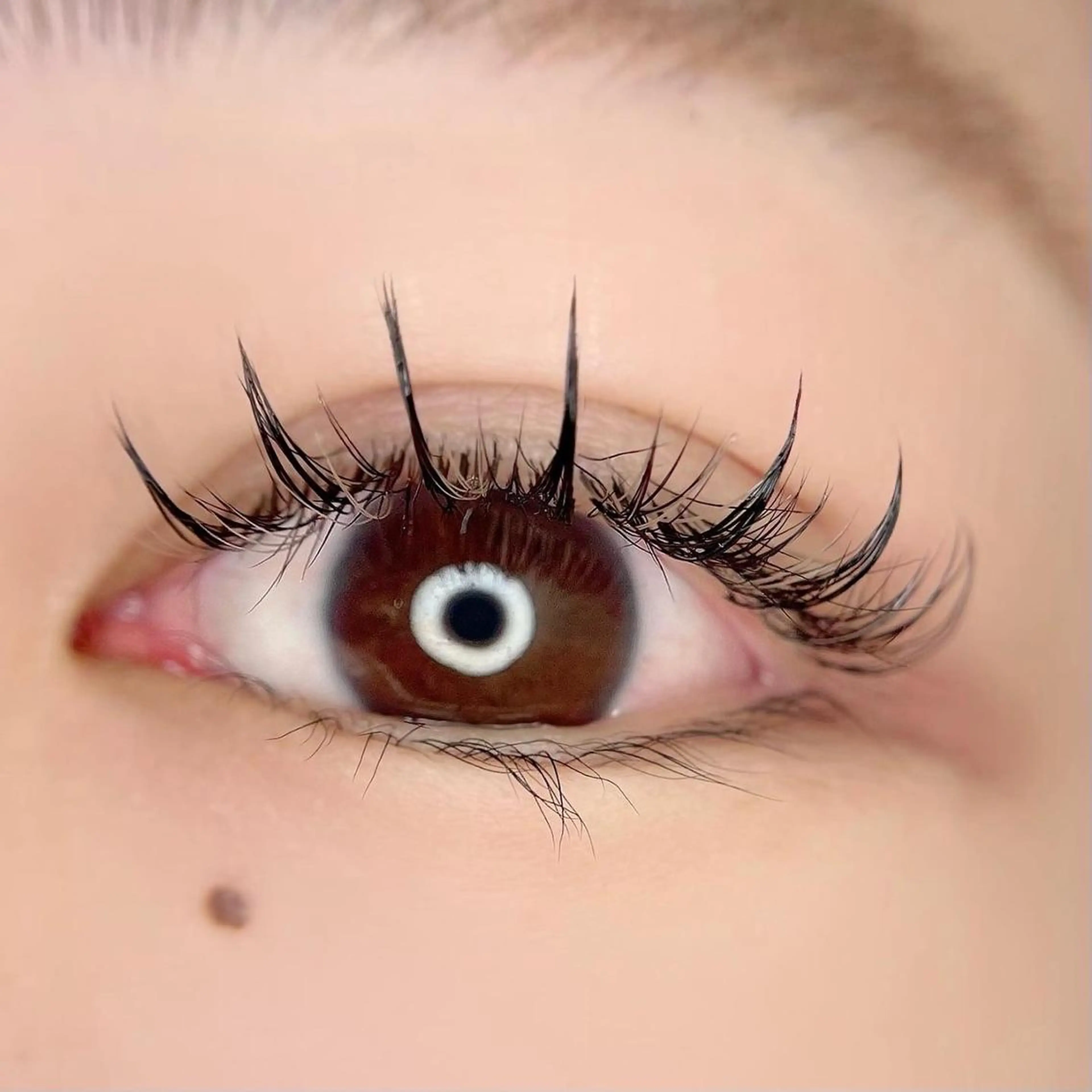 マツエク・マツパ 一ノ瀬 暁のヘアスタイル