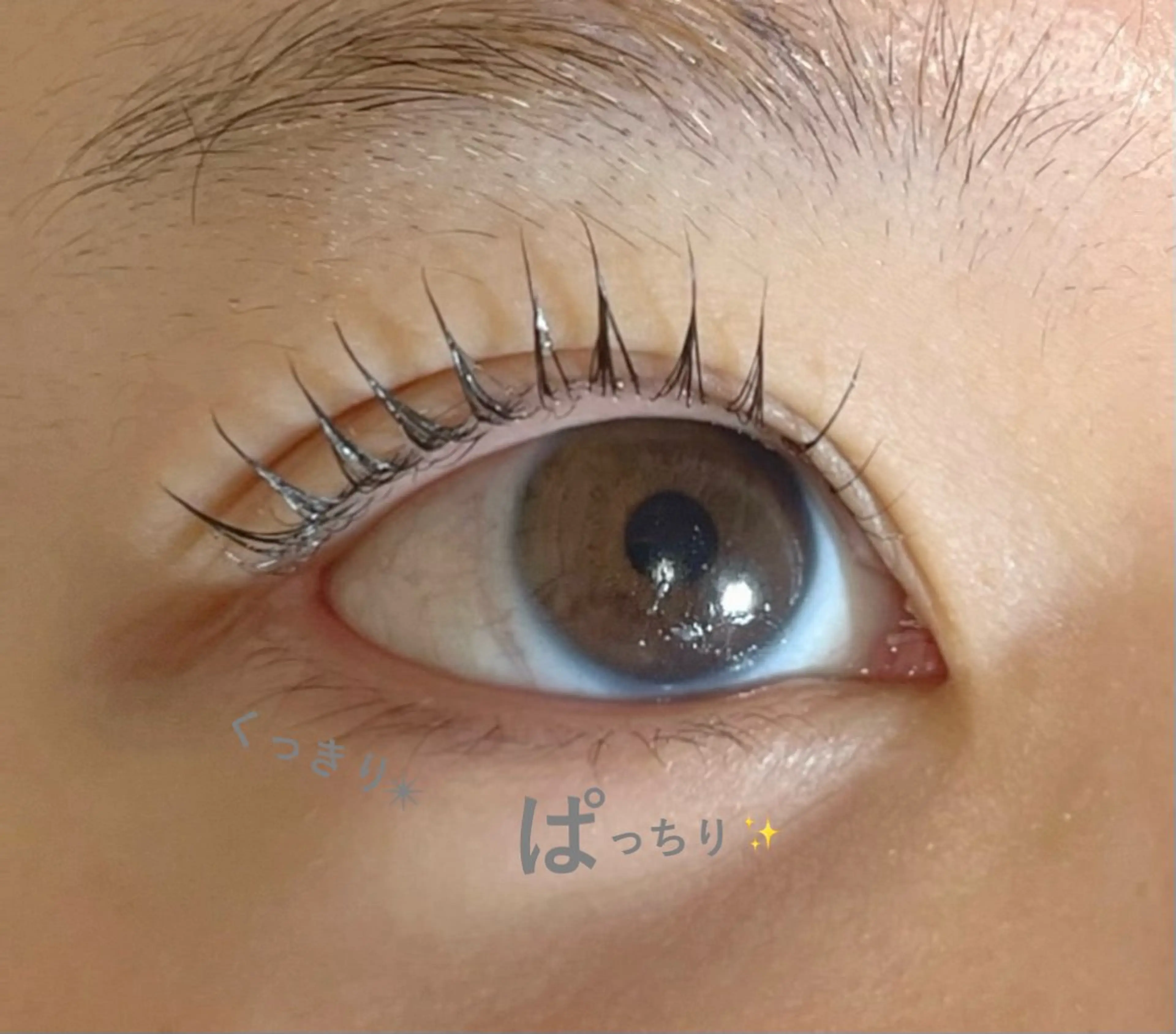 マツエク・マツパ パリジェンヌラッシュリフト まつげパーマ 🧸 Emiri🫧のマツエク・マツパデザイン