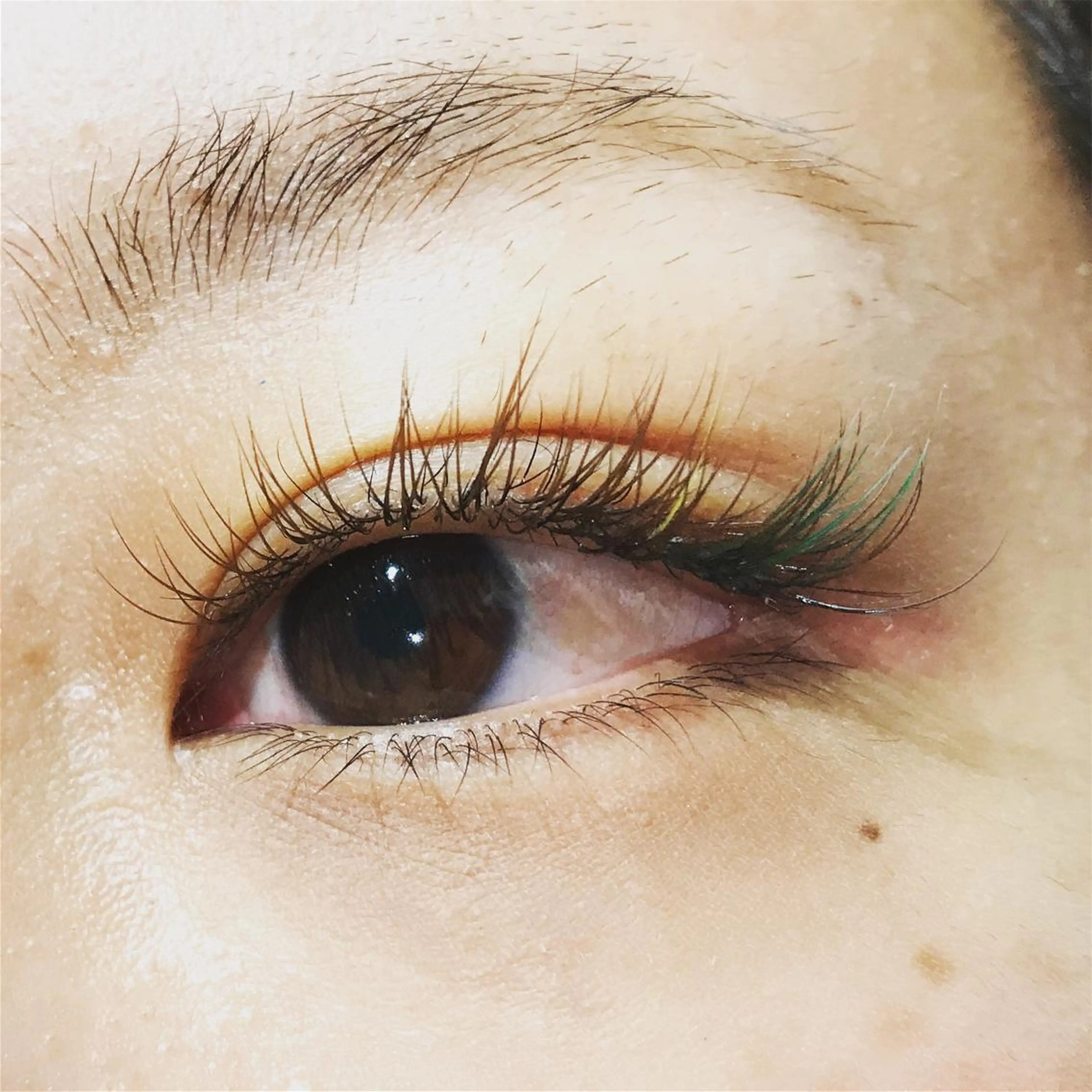 マツエク・マツパ カラーマツエク にっくに ちひろの眉毛・アイブロウイメージ