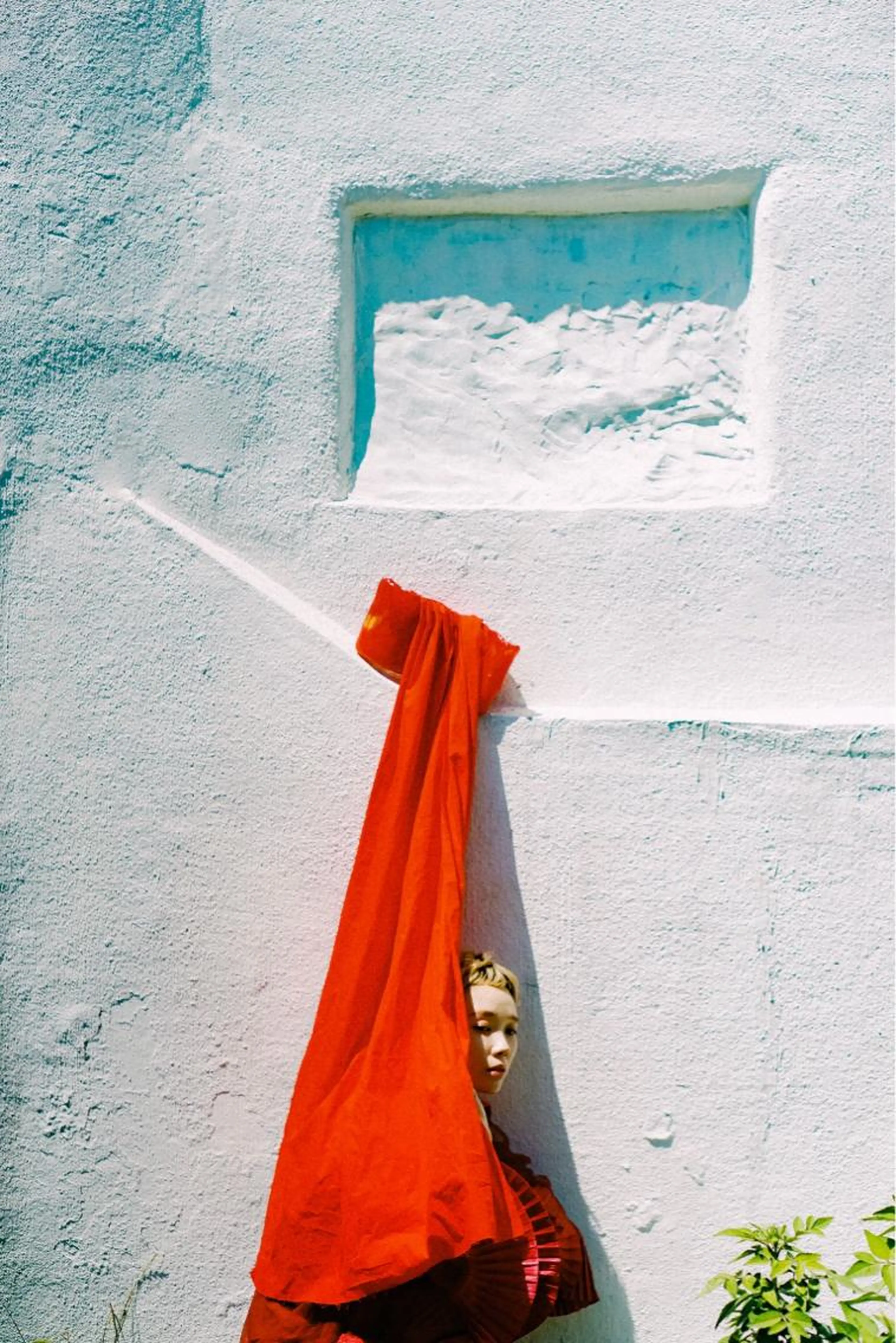 【期間限定】🐳Wカラー &集中ケアトリートメント🐳の写真