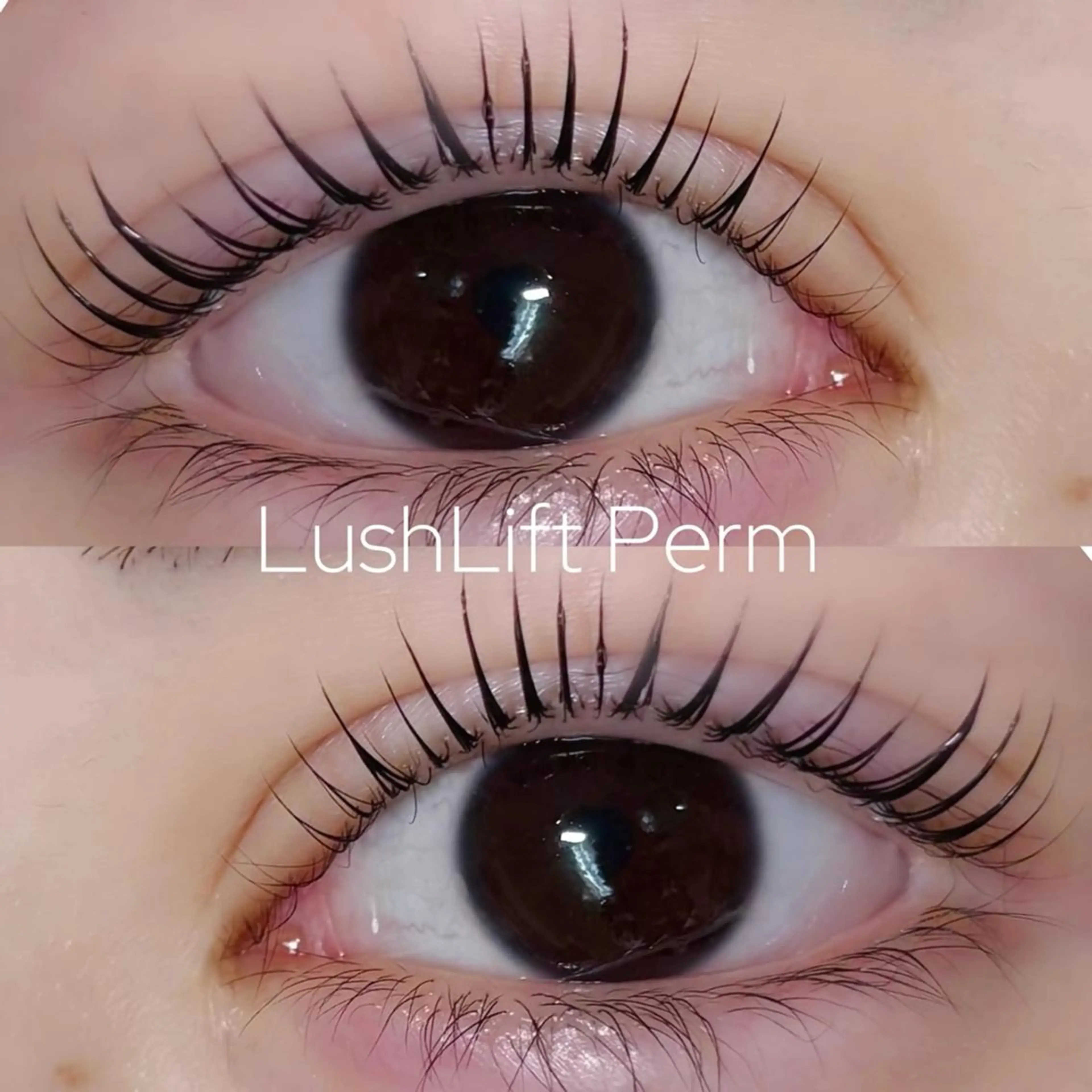 ダメージ回避🌙まつげパーマ×11種美容成分💕ケラチントリートメント付🤍4500円の写真
