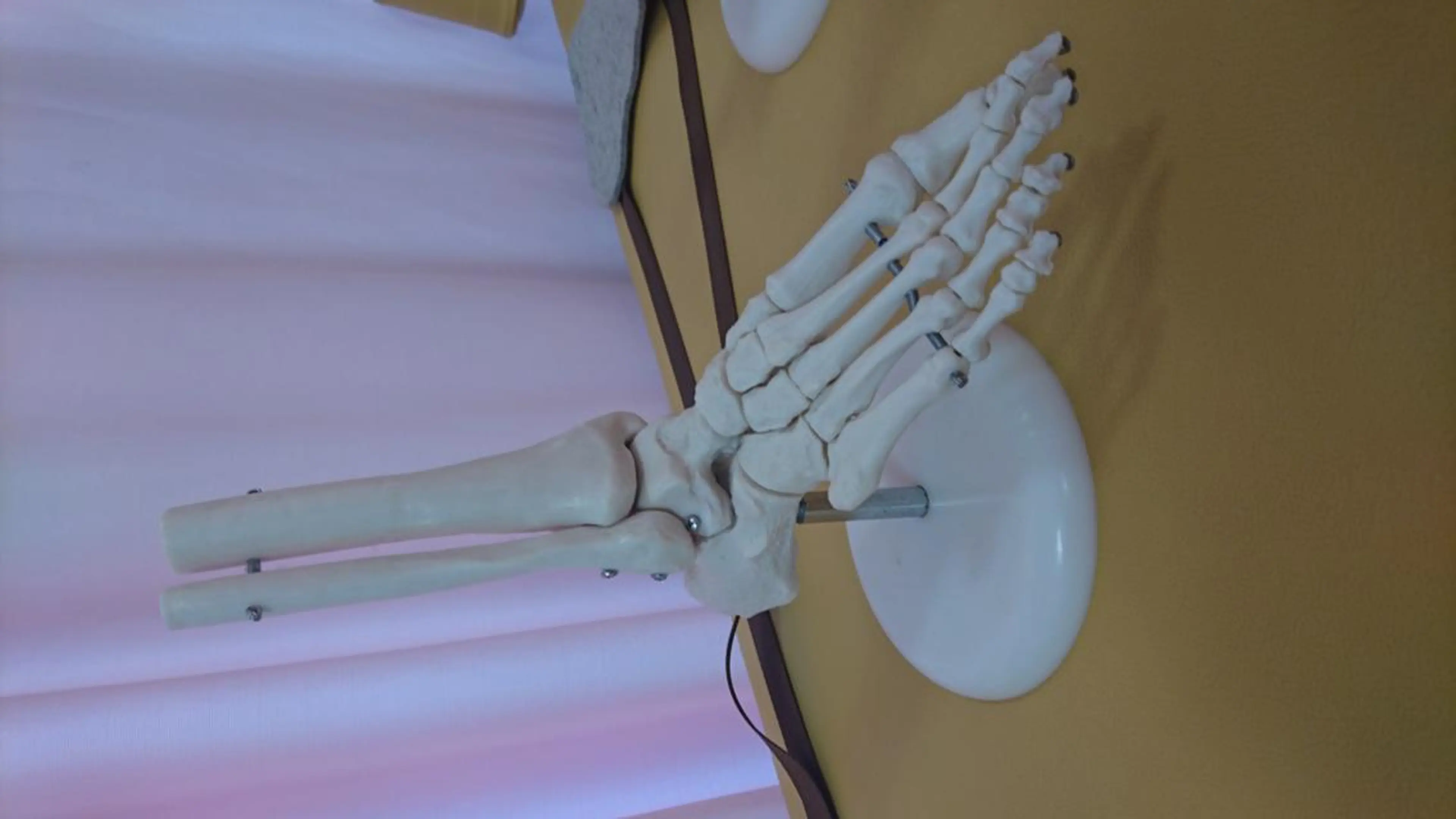 その他(ネイル) 同心整骨院 美容鍼・整体・小顔のエステ・リラクイメージ