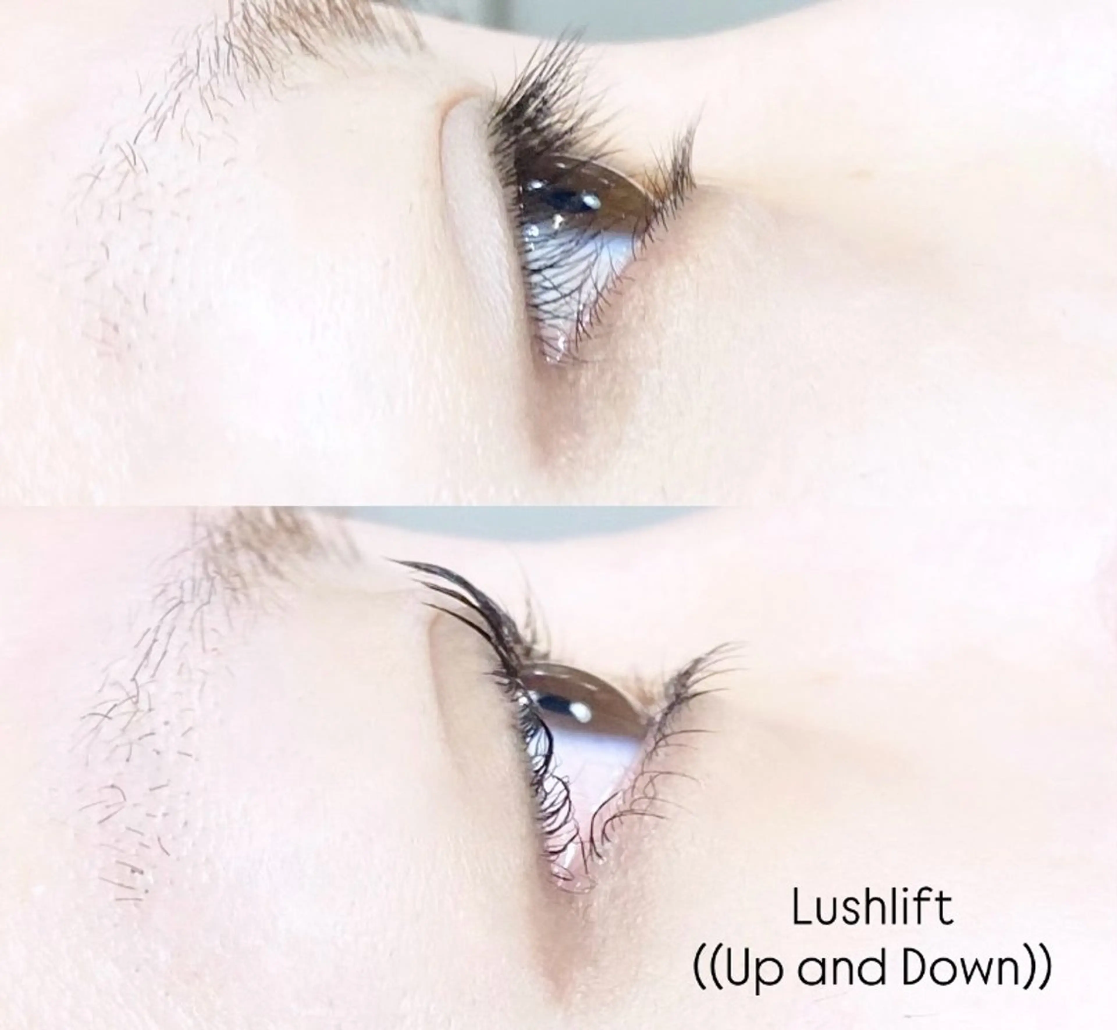 マツエク・マツパ LEDエクステ専門店 Fedis 京橋のマツエク・マツパデザイン