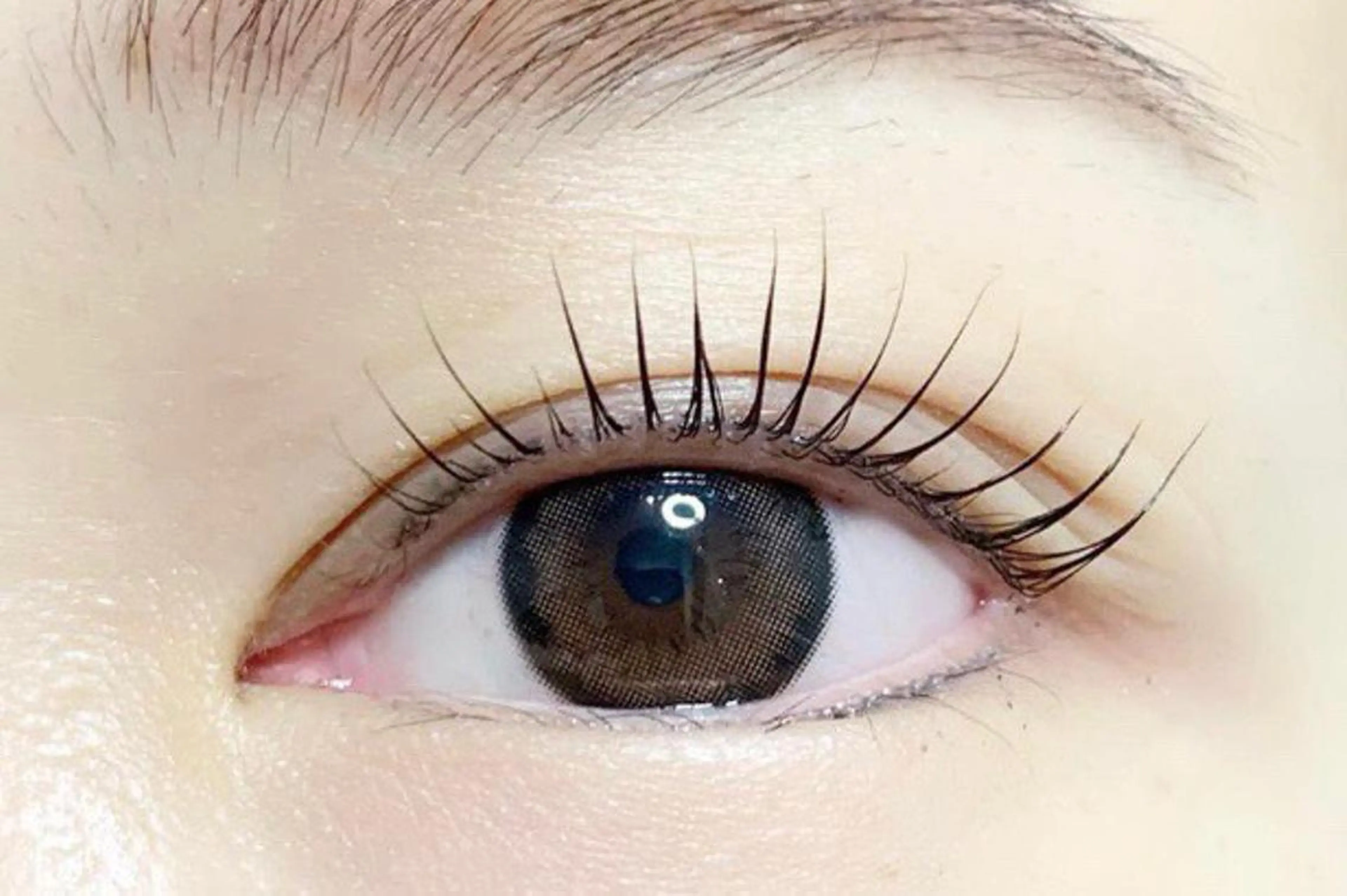 マツエク・マツパ Plaisir 🌸のマツエク・マツパデザイン