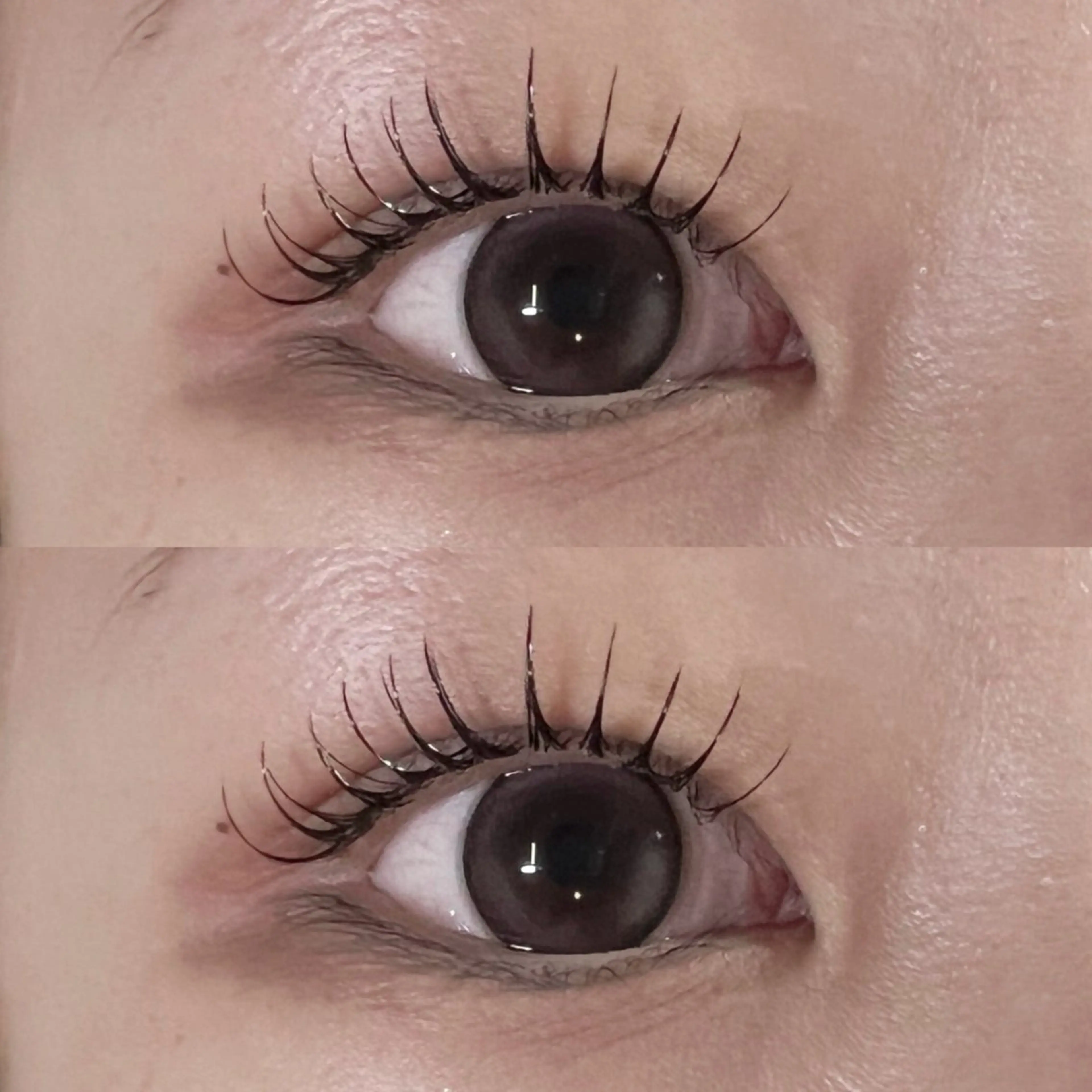 マツエク・マツパ 一重×まつ毛パーマ マツエク Liliane所属・吉田 Lilianeのマツエク・マツパデザイン