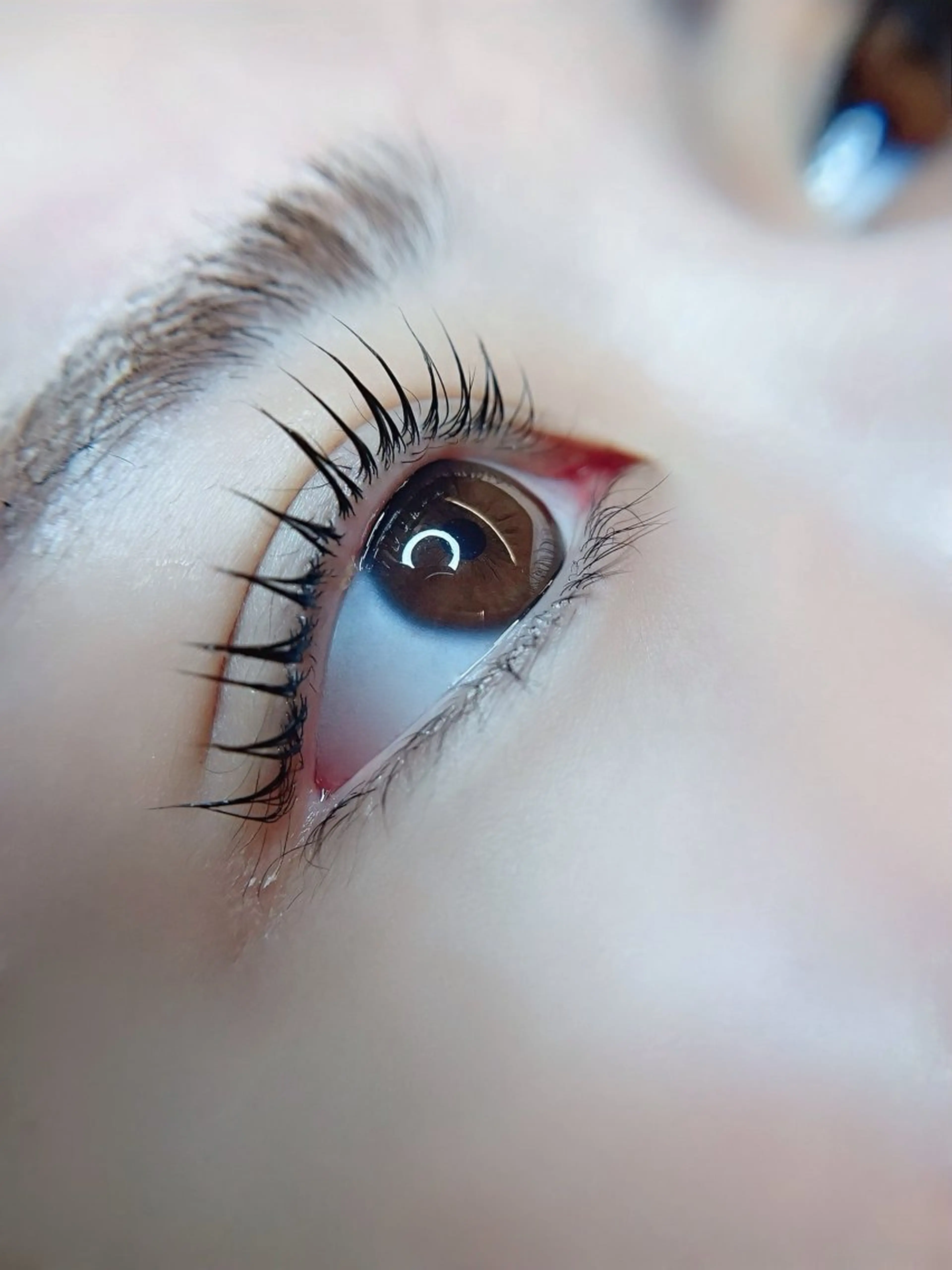 マツエク・マツパ ナチュラル まつげパーマ セーブル 一重×まつ毛パーマ Fave【フェイブ】 まつパ/眉毛/メンズの眉毛・アイブロウイメージ