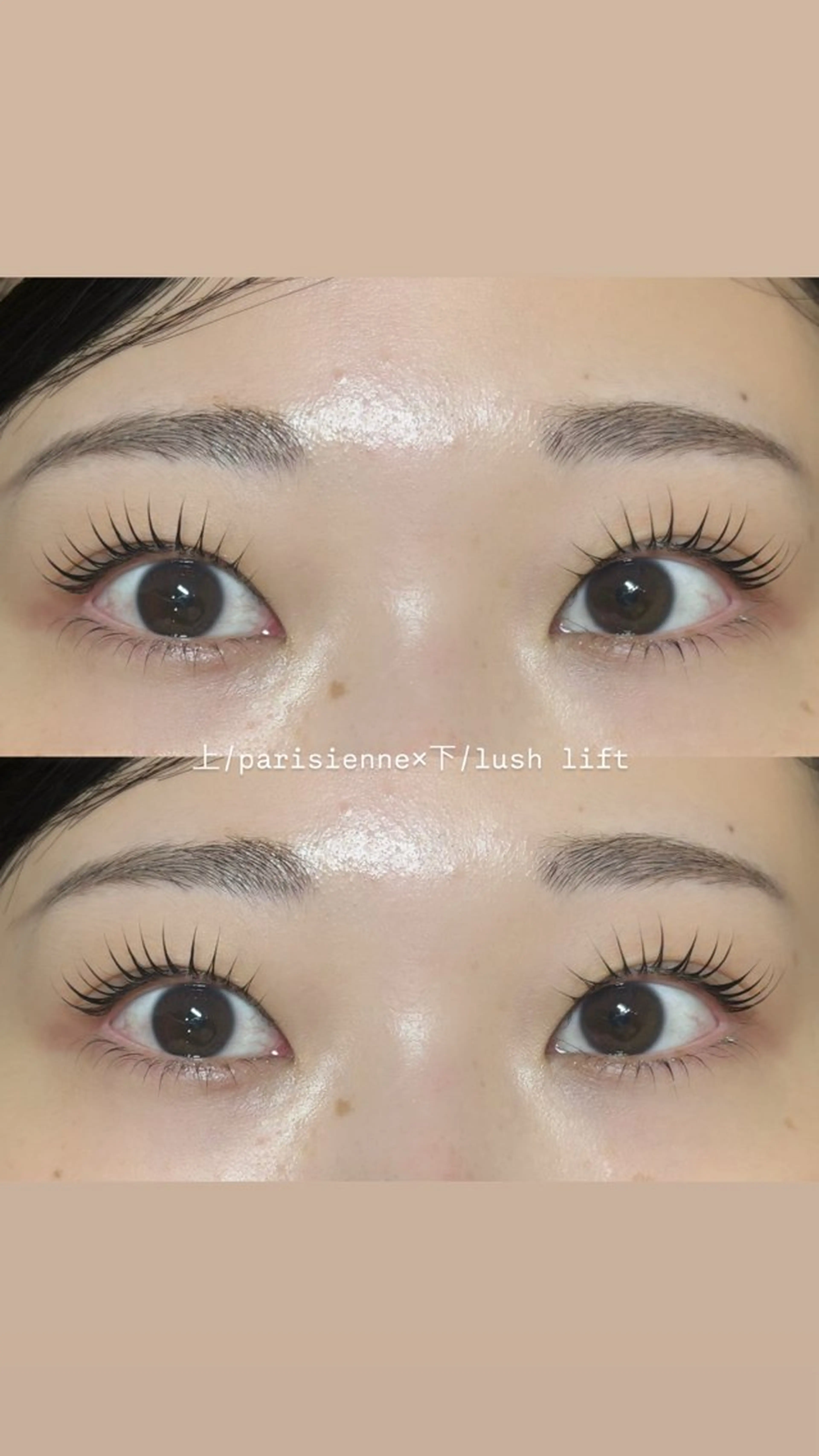【20日10時限定🌟】minimo限定‼パリジェンヌorラッシュリフト×下まつげパーマ♥束感コーティング仕上げ✧︎*の写真