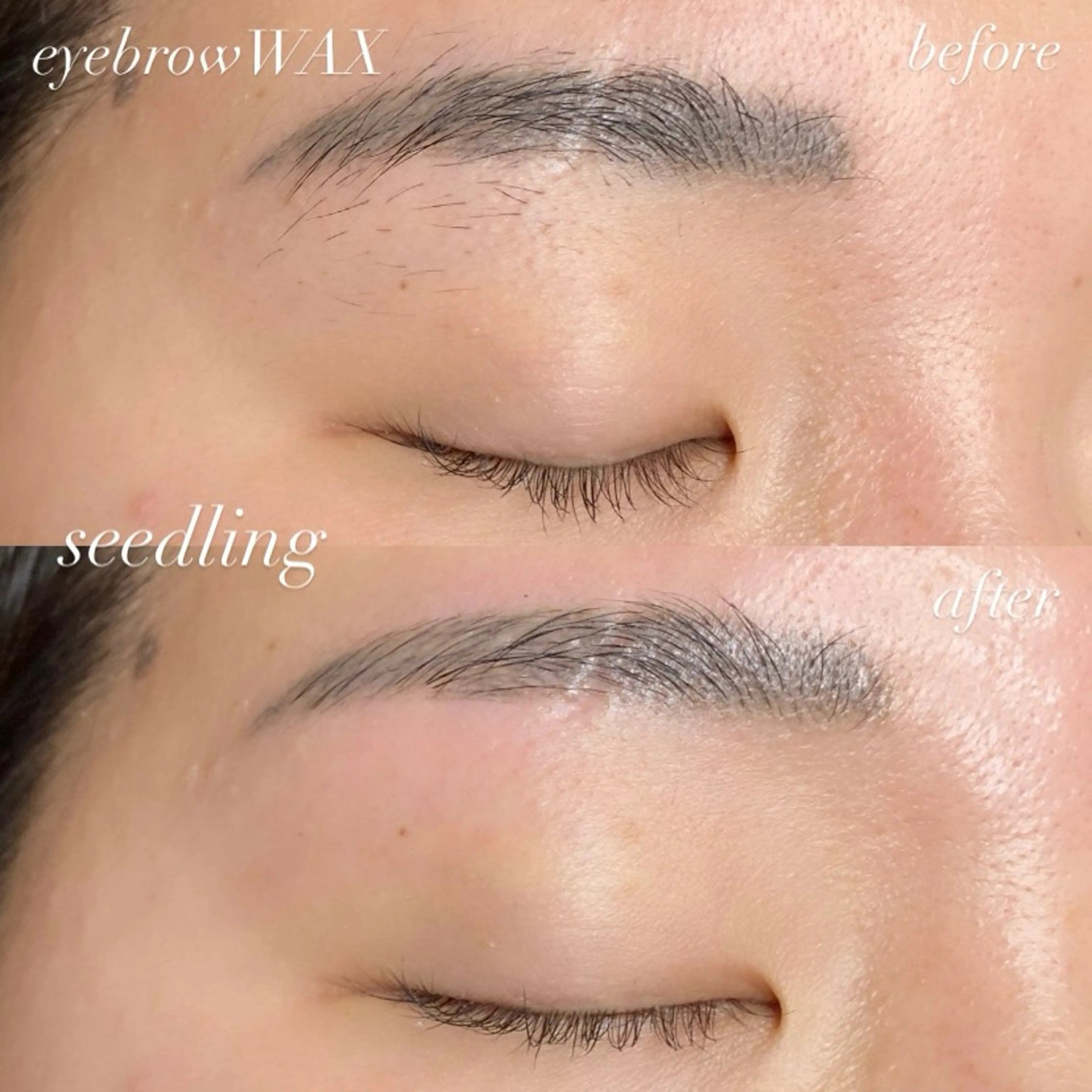 アイブロウ シードリン 府内店 杉田のマツエク・マツパデザイン