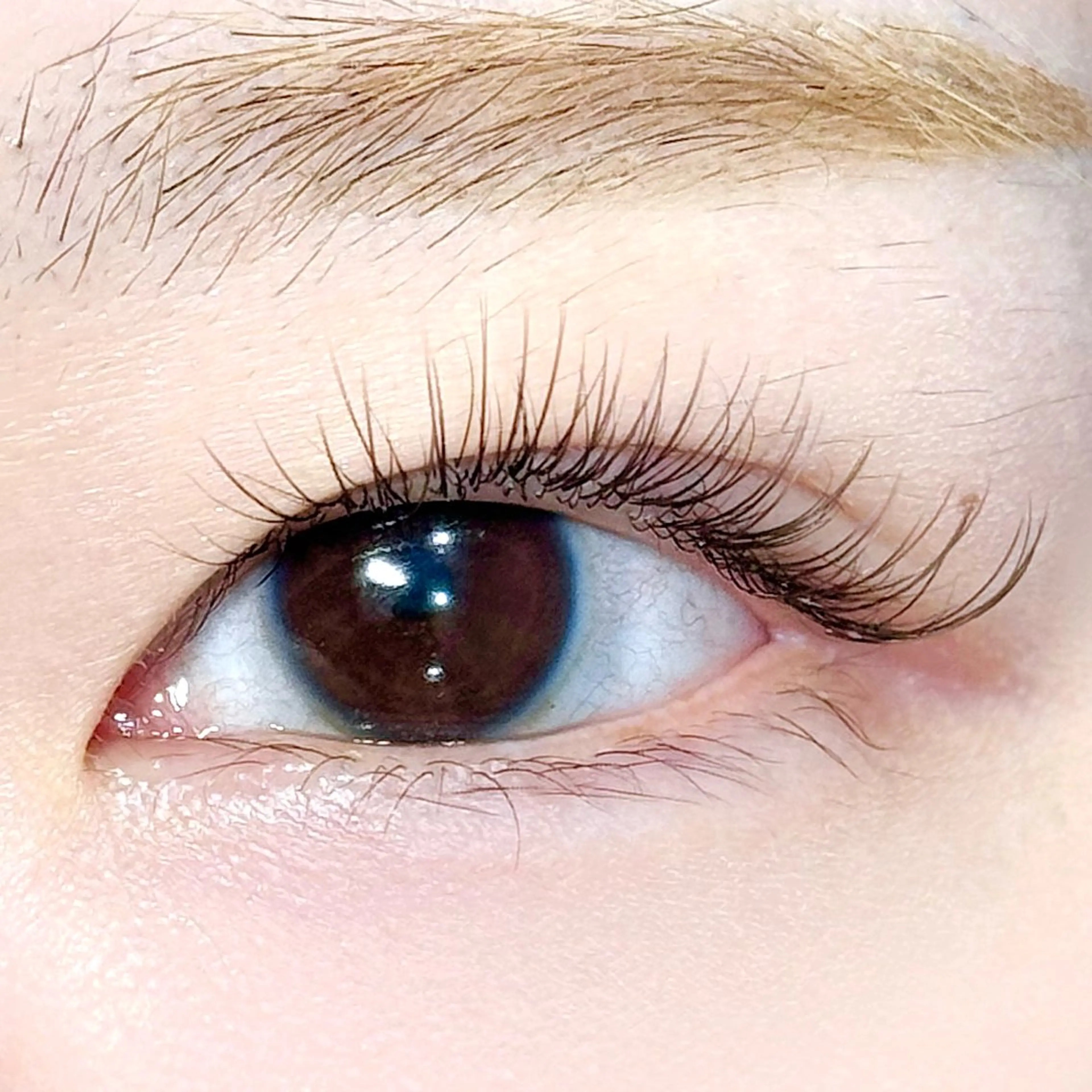 マツエク・マツパ 【La SHE's】 KANAME🪽✨のマツエク・マツパデザイン