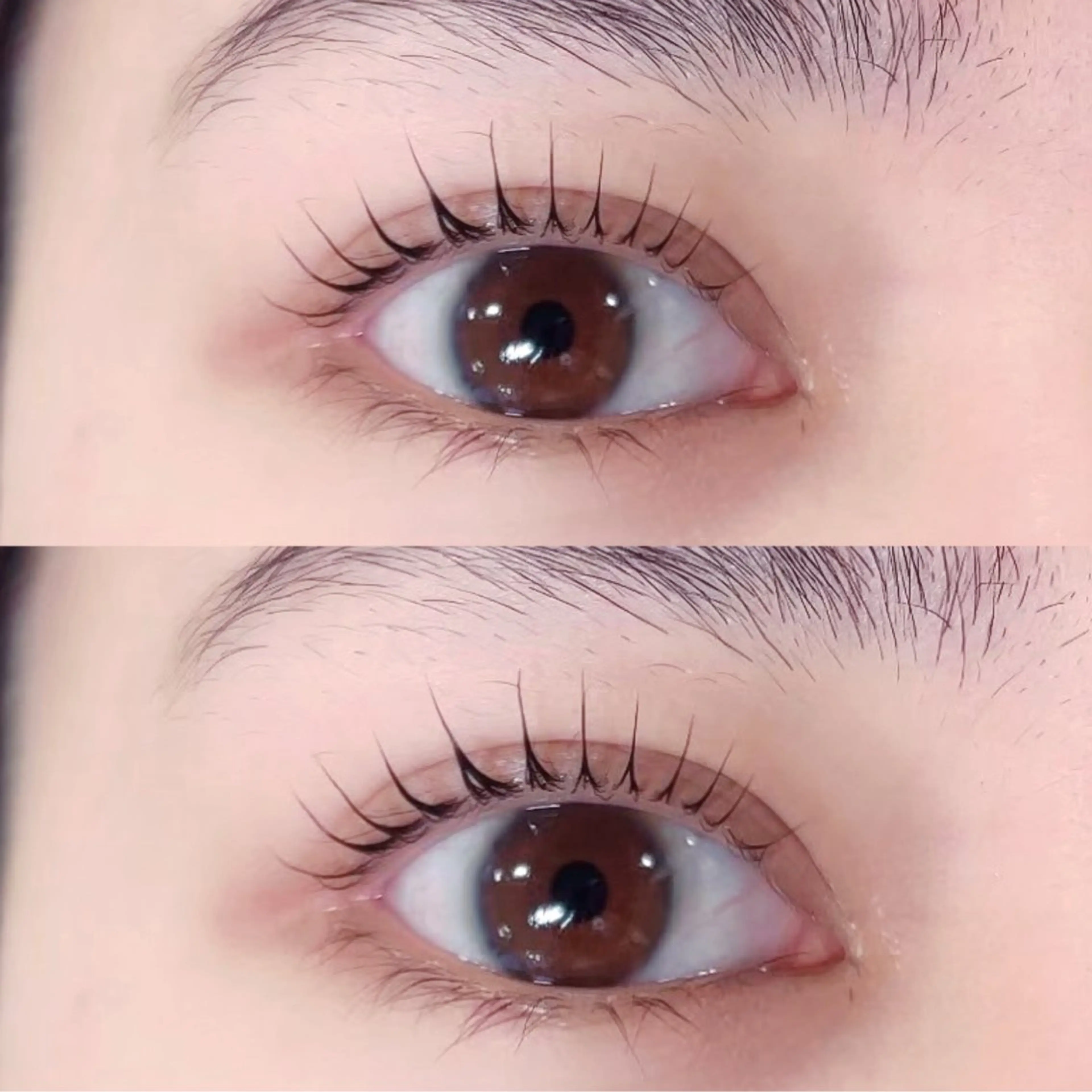 マツエク・マツパ バインドロック フラットラッシュ パリジェンヌラッシュリフト まつげパーマ 下まつげエクステ マツパ 🎀Lino 中目黒 TAKAMI🐈のマツエク・マツパデザイン