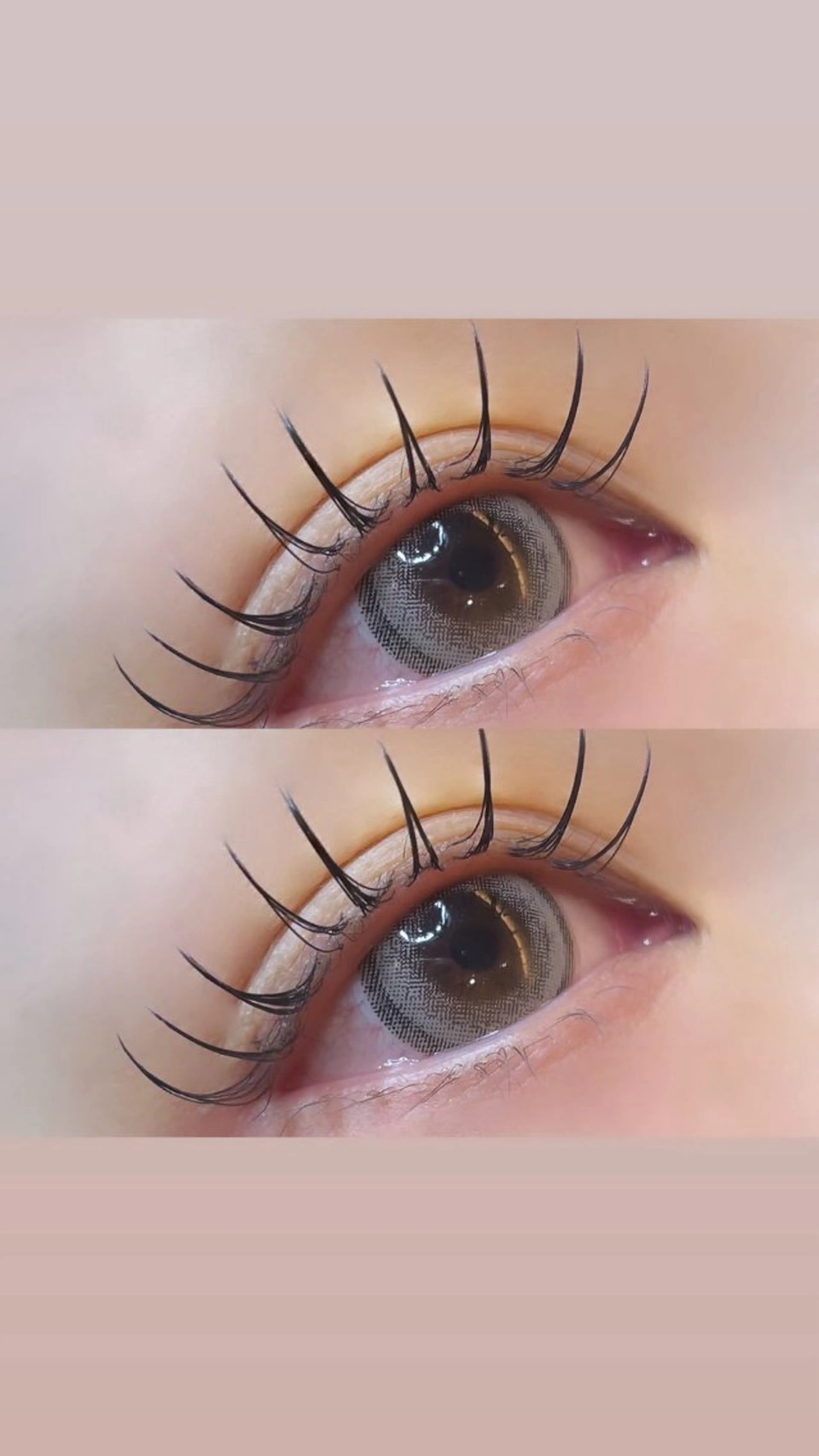 【束艶感🪄】高級プレミアムフラットラッシュ100本の写真