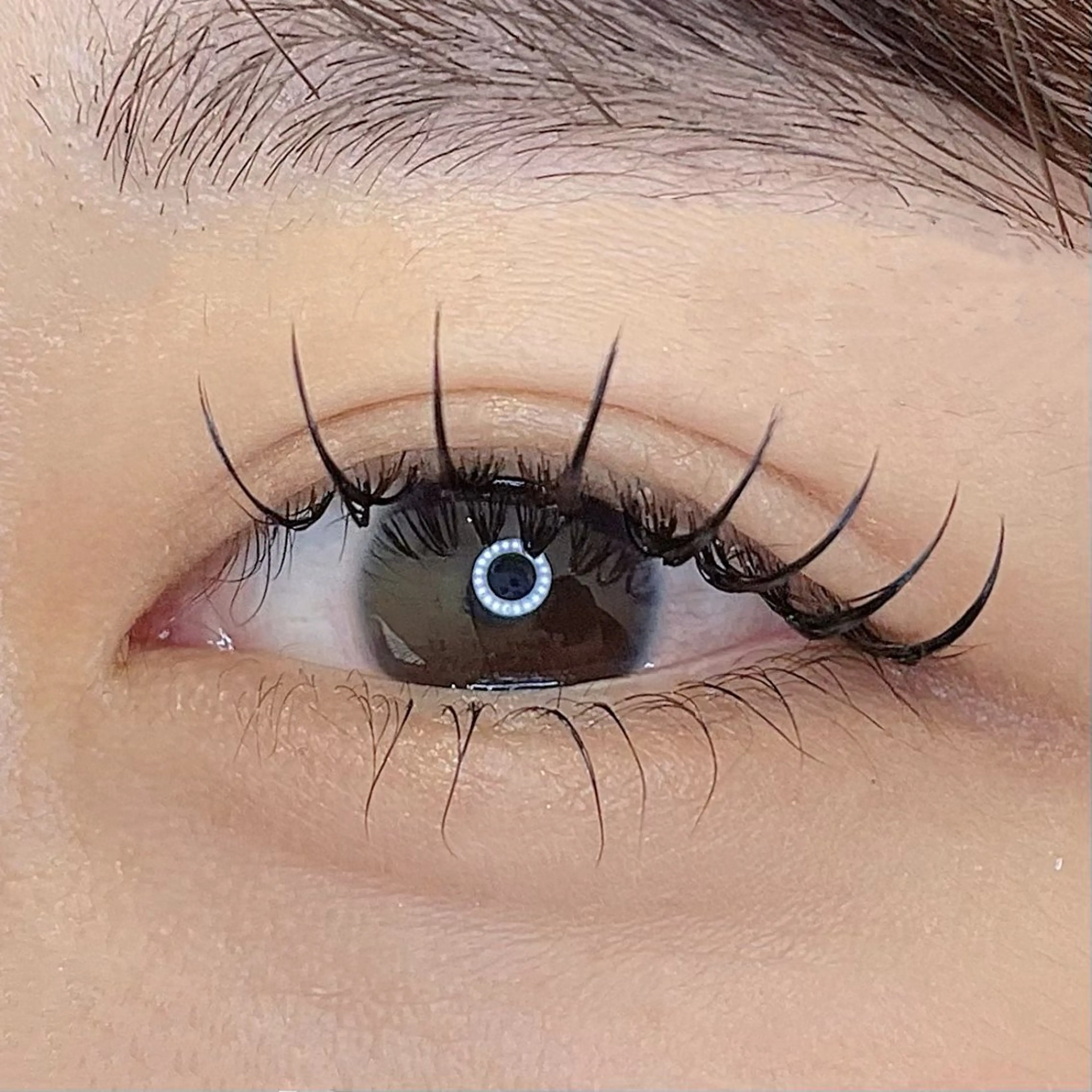 マツエク・マツパ フラットラッシュ EYELA亀田店 田高のマツエク・マツパデザイン