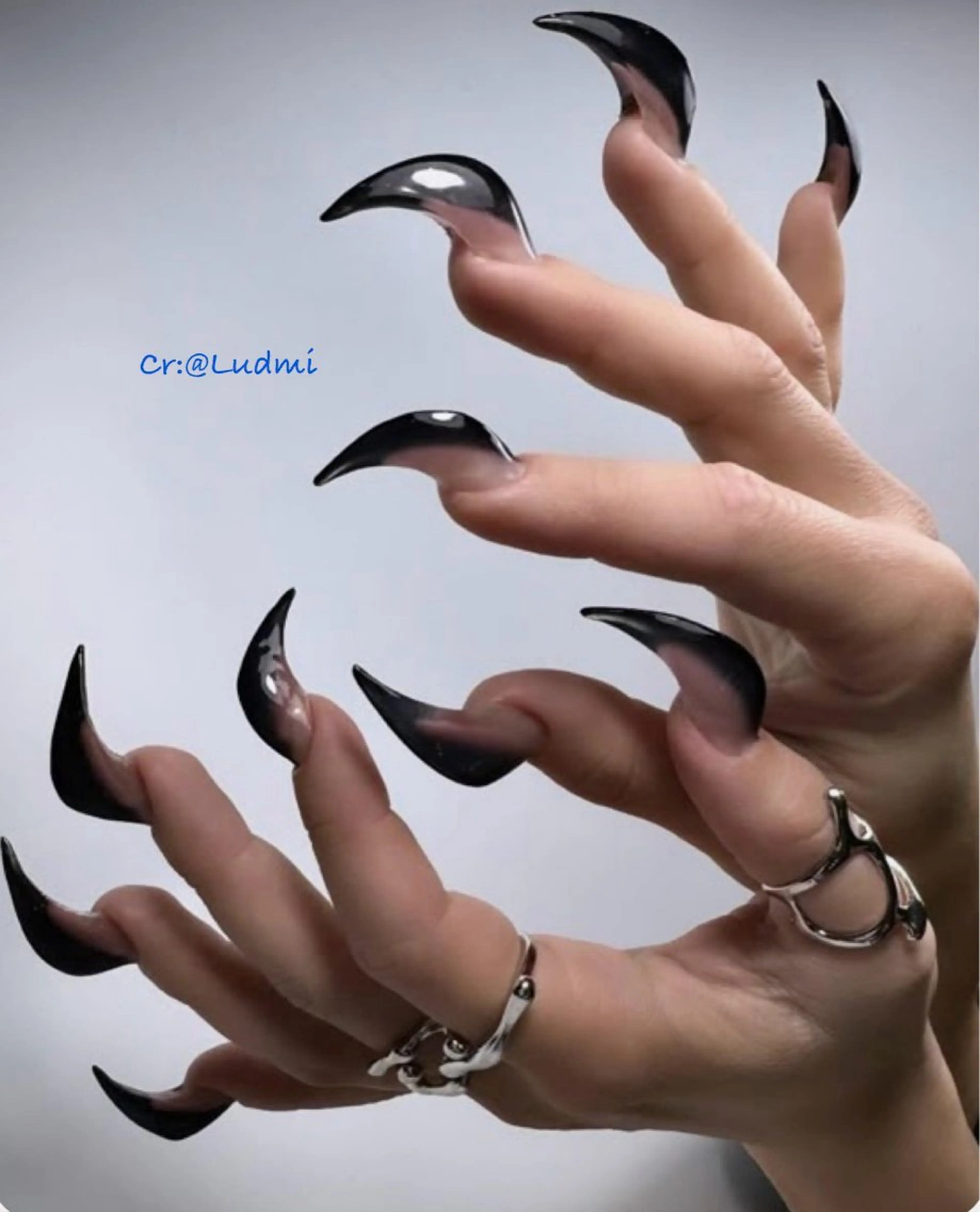 🐾 キャットクロー（Cat Claw）ネイル ワンカラー💅の写真