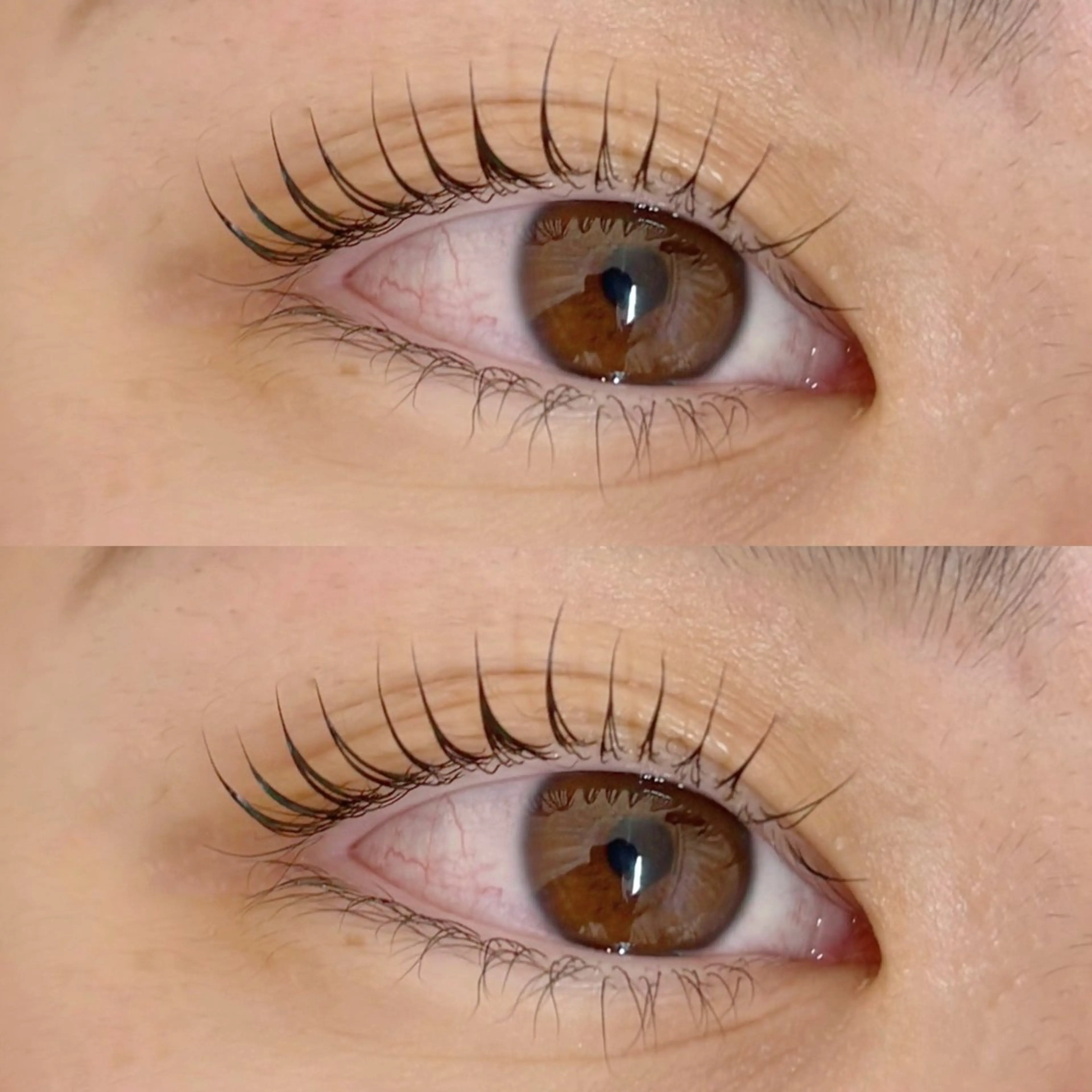 マツエク・マツパ マツパ トレンド眉🌈✨ koyuki.oの眉毛・アイブロウイメージ