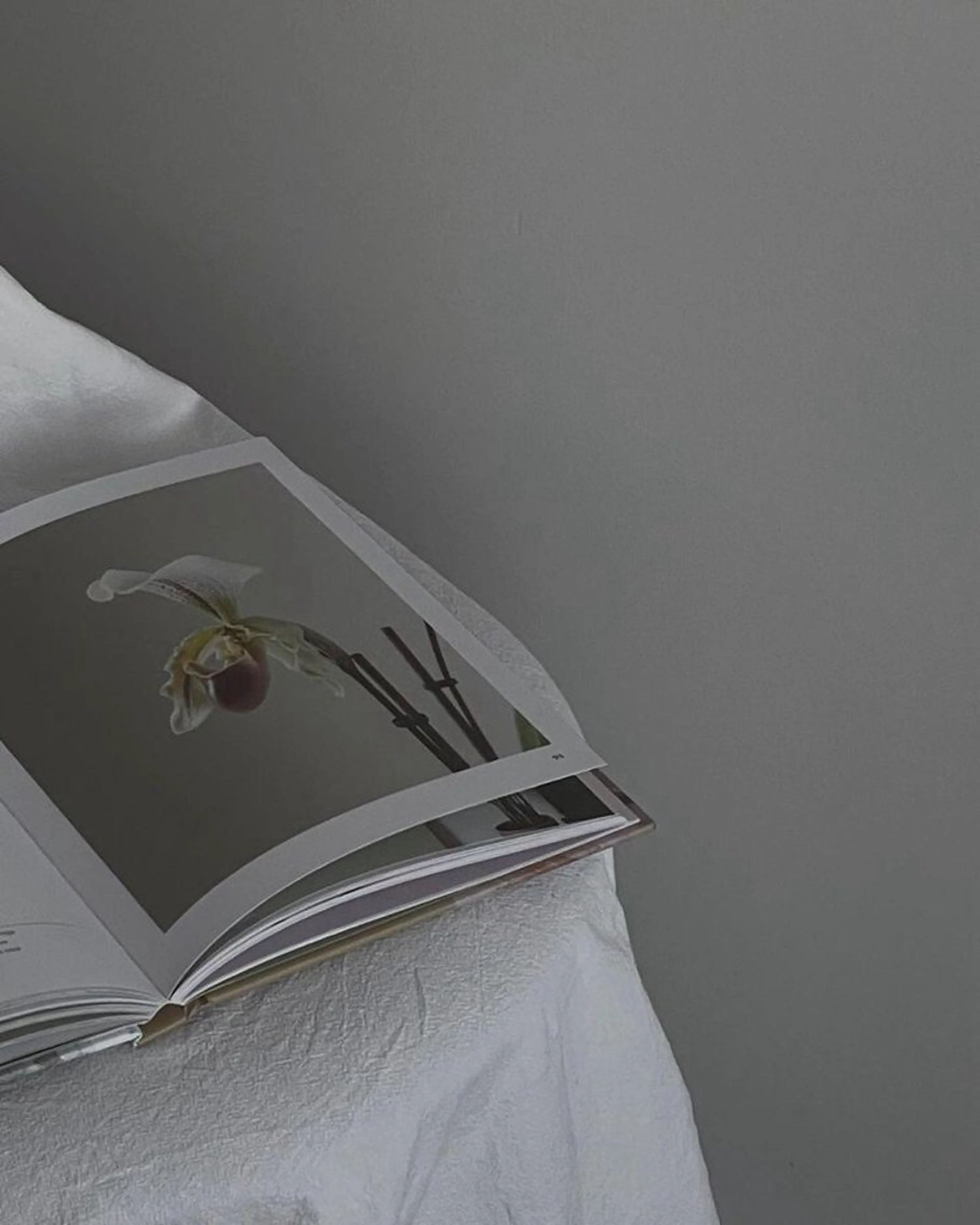 🌱Bianca 大宮店 MAEDAのマツエク・マツパデザイン