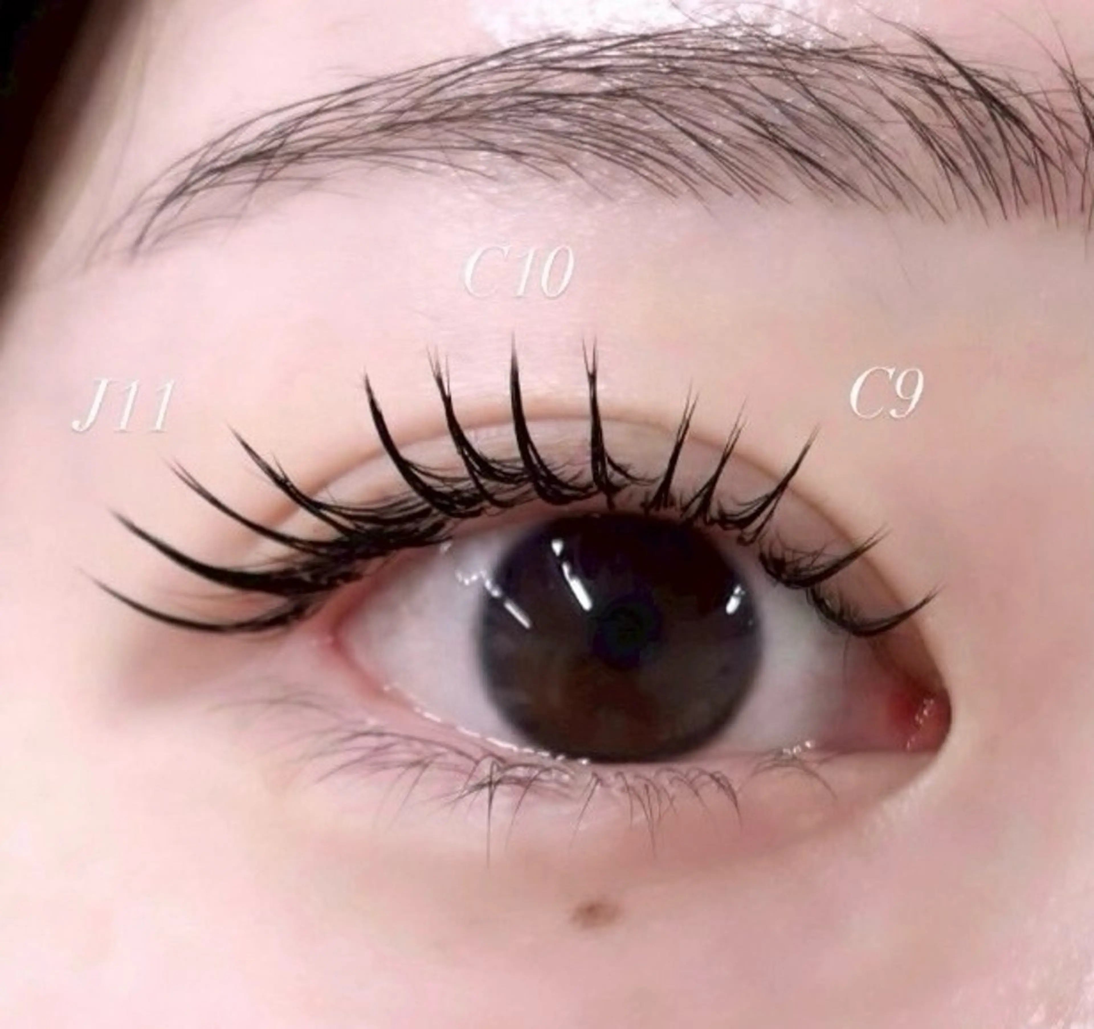 💖✨minimo限定✨💖オフなしLEDシングルエクス(100本)の写真