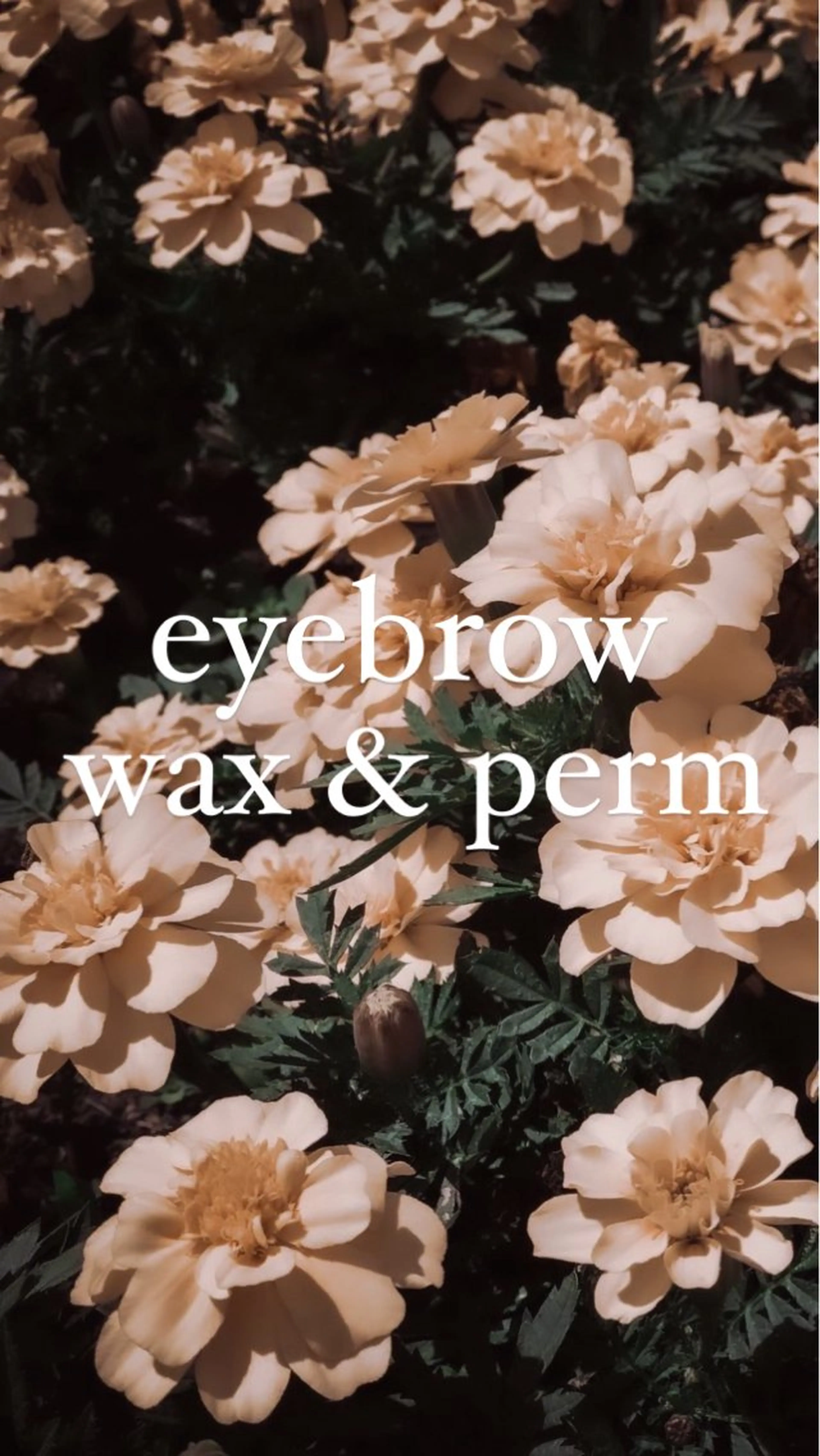 アイブロウ 眉毛専門luuna SARA🌙の眉毛・アイブロウイメージ