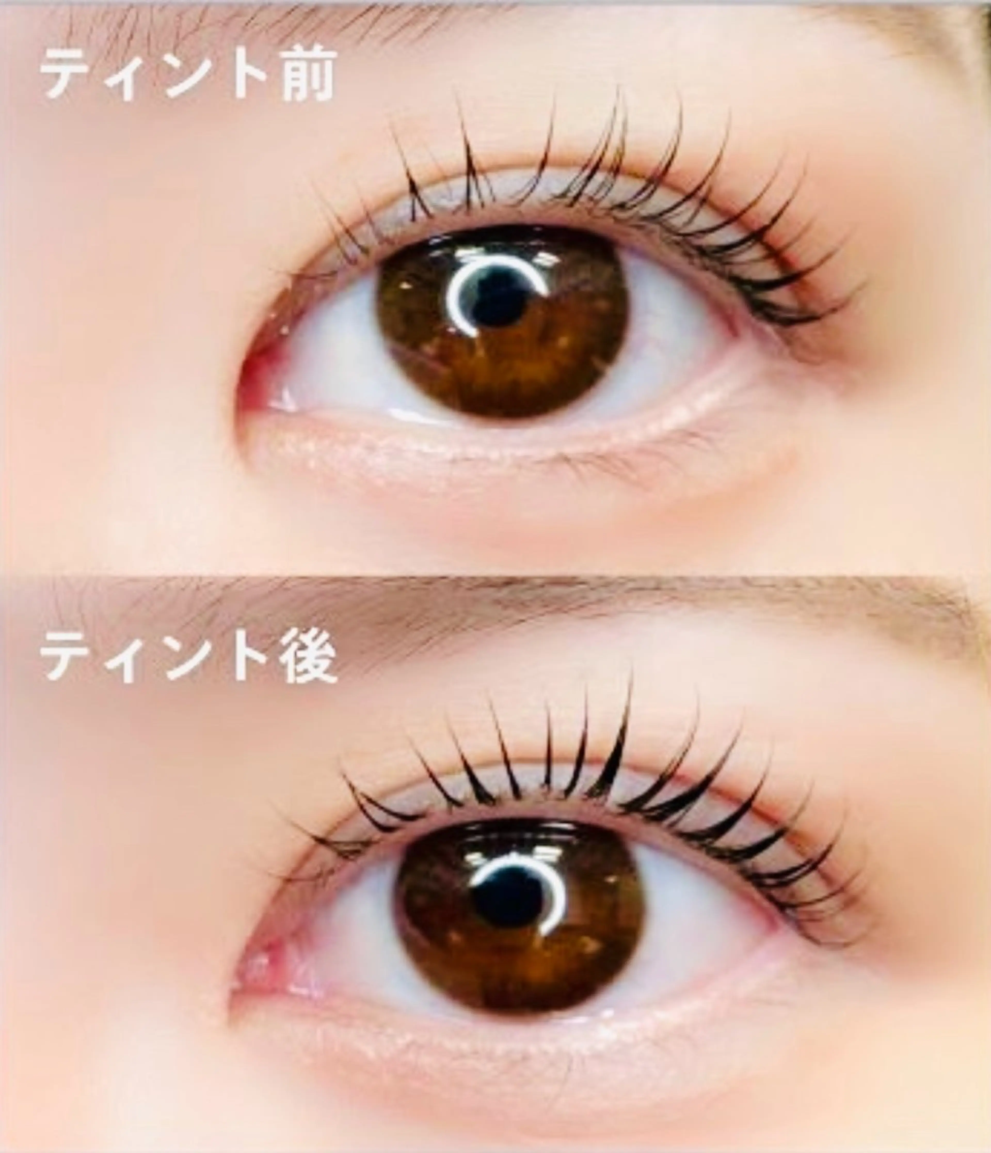マツエク・マツパ Lash Lift WAVE🩵の眉毛・アイブロウイメージ