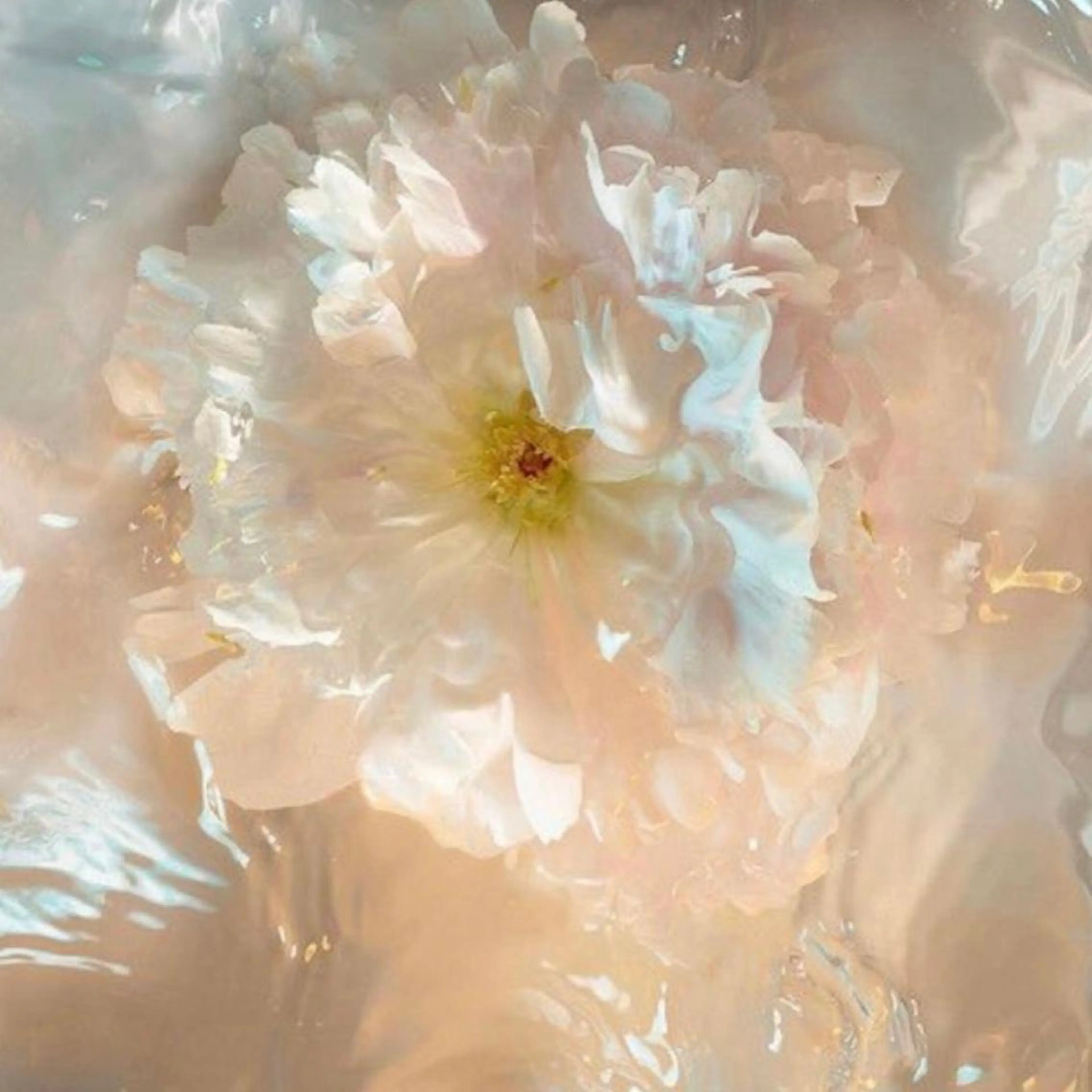 マツエク・マツパ マツエク eyelist 𝐧𝐚𝐨のマツエク・マツパデザイン