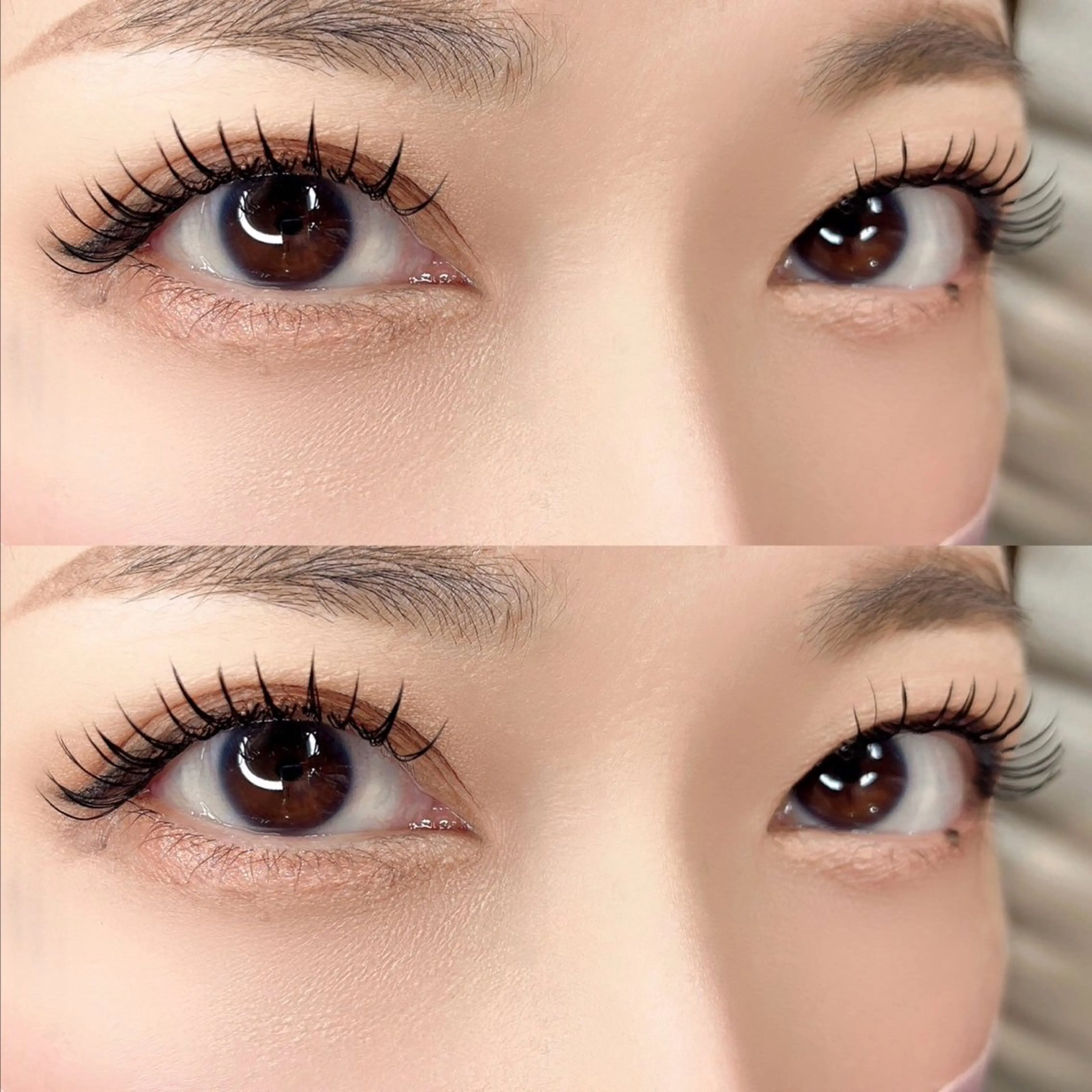 【ミニモ限定】最高級セーブル100本👀💚の写真