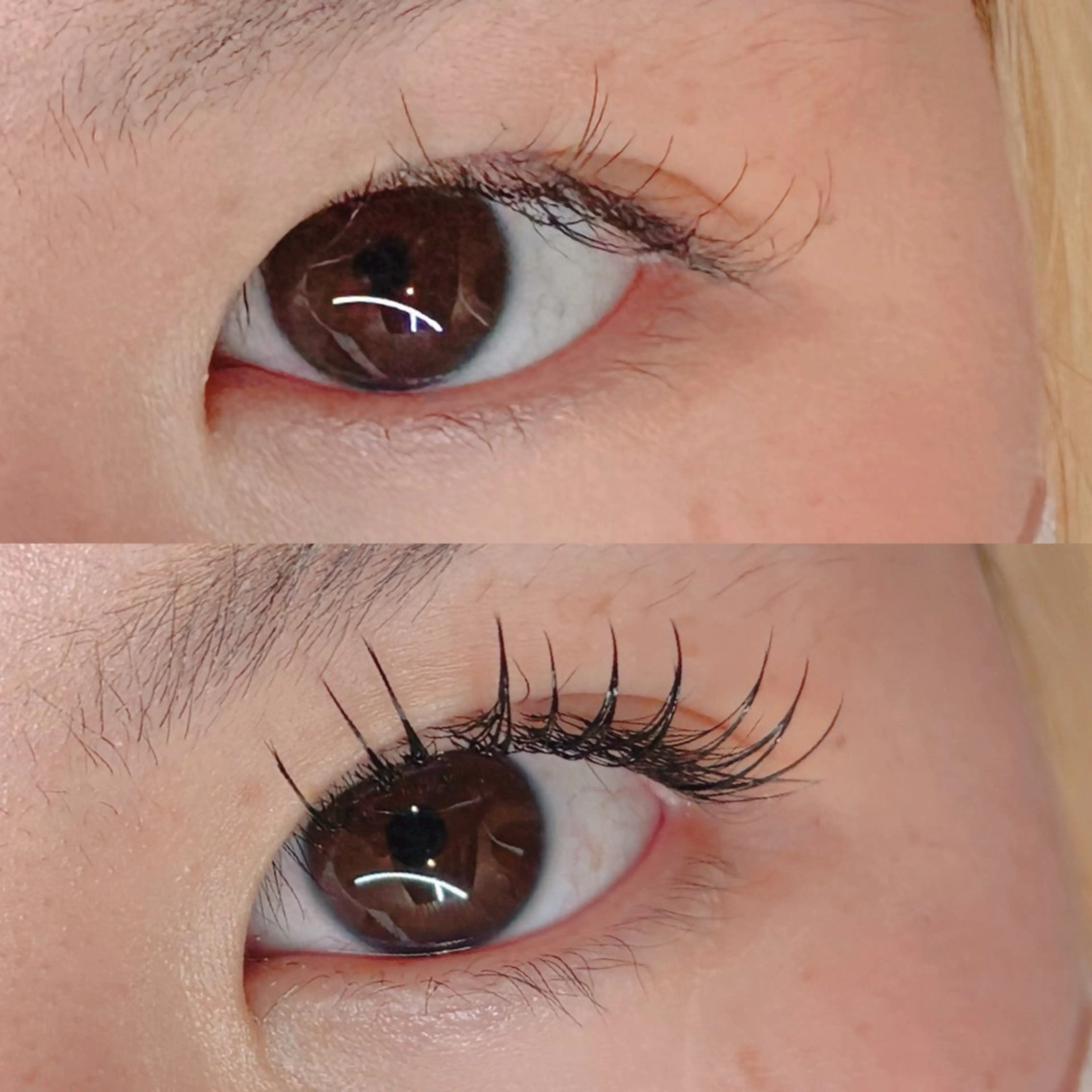 マツエク・マツパ Dカール フラットラッシュ 目尻長め マツエク 【愛され眉毛作る人】 nozomiの眉毛・アイブロウイメージ