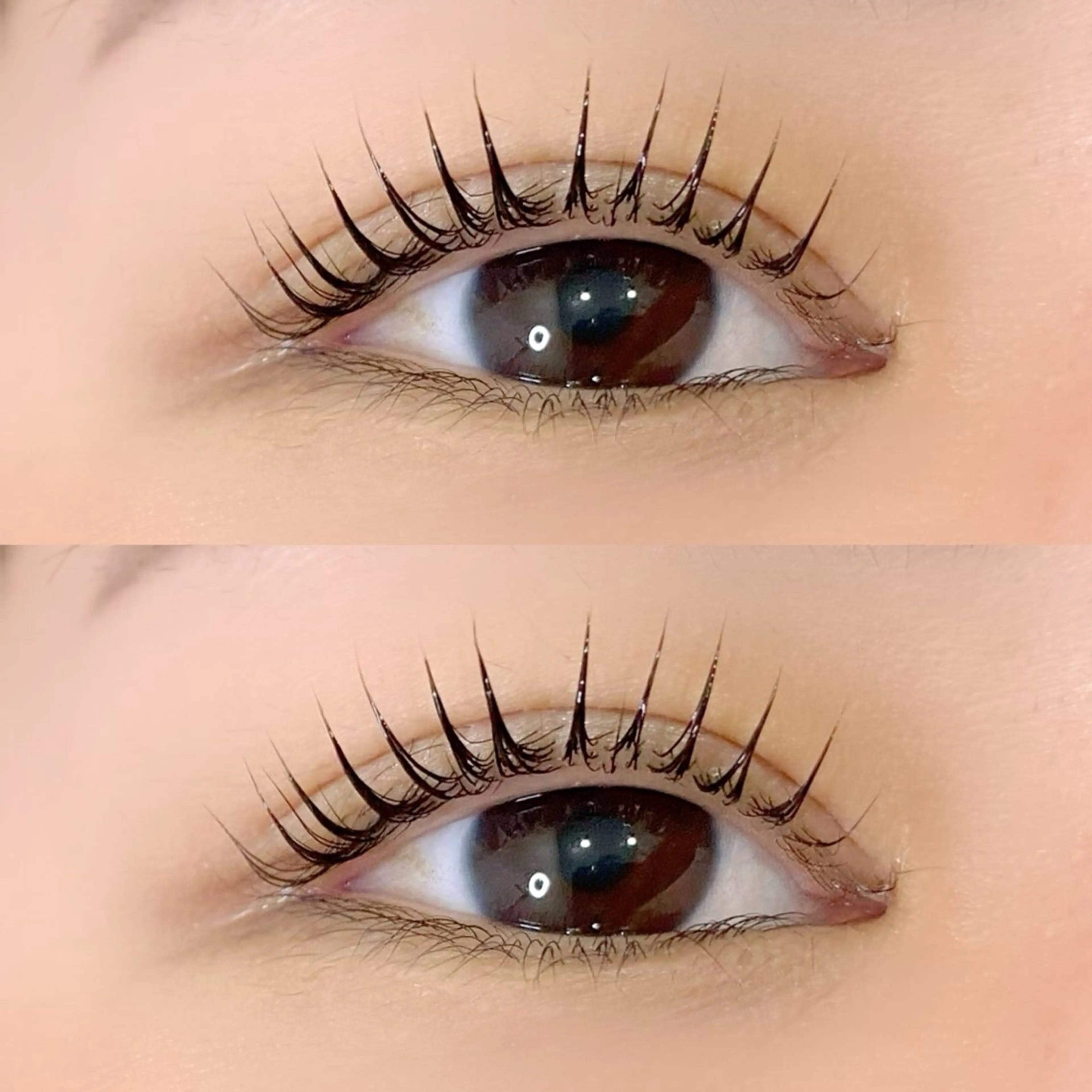 【ご新規限定】ラッシュリフトorパリジェンヌ✨　　￥4700→￥4000！！の写真