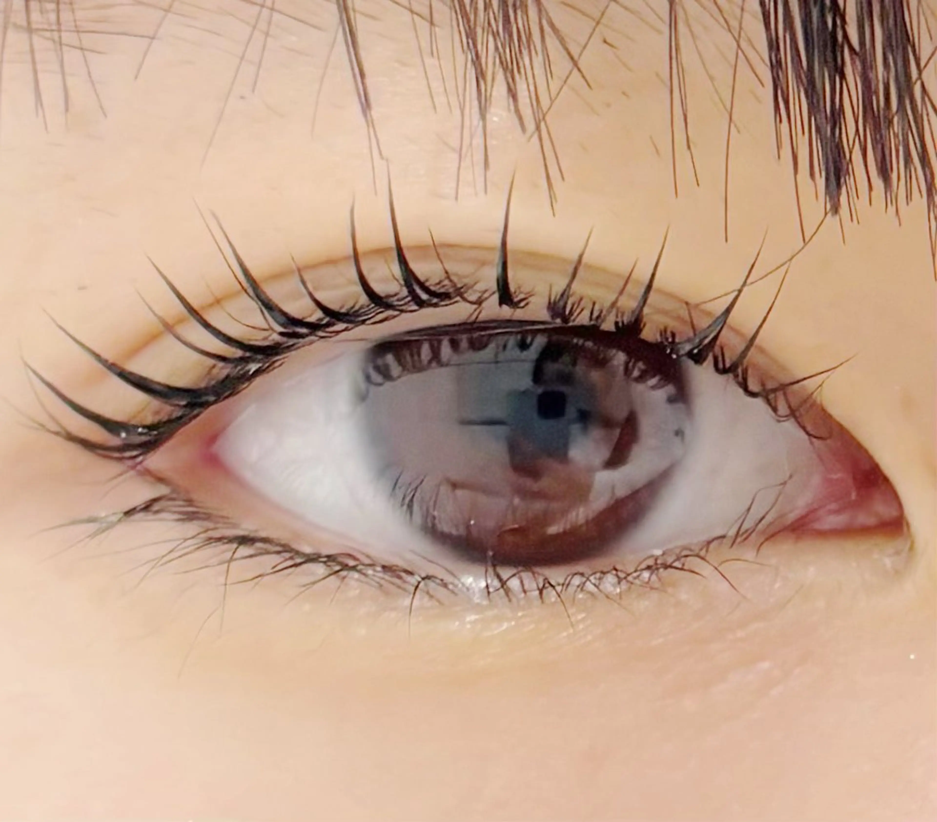 マツエク・マツパ カルフールノア大船/ Ririの眉毛・アイブロウイメージ