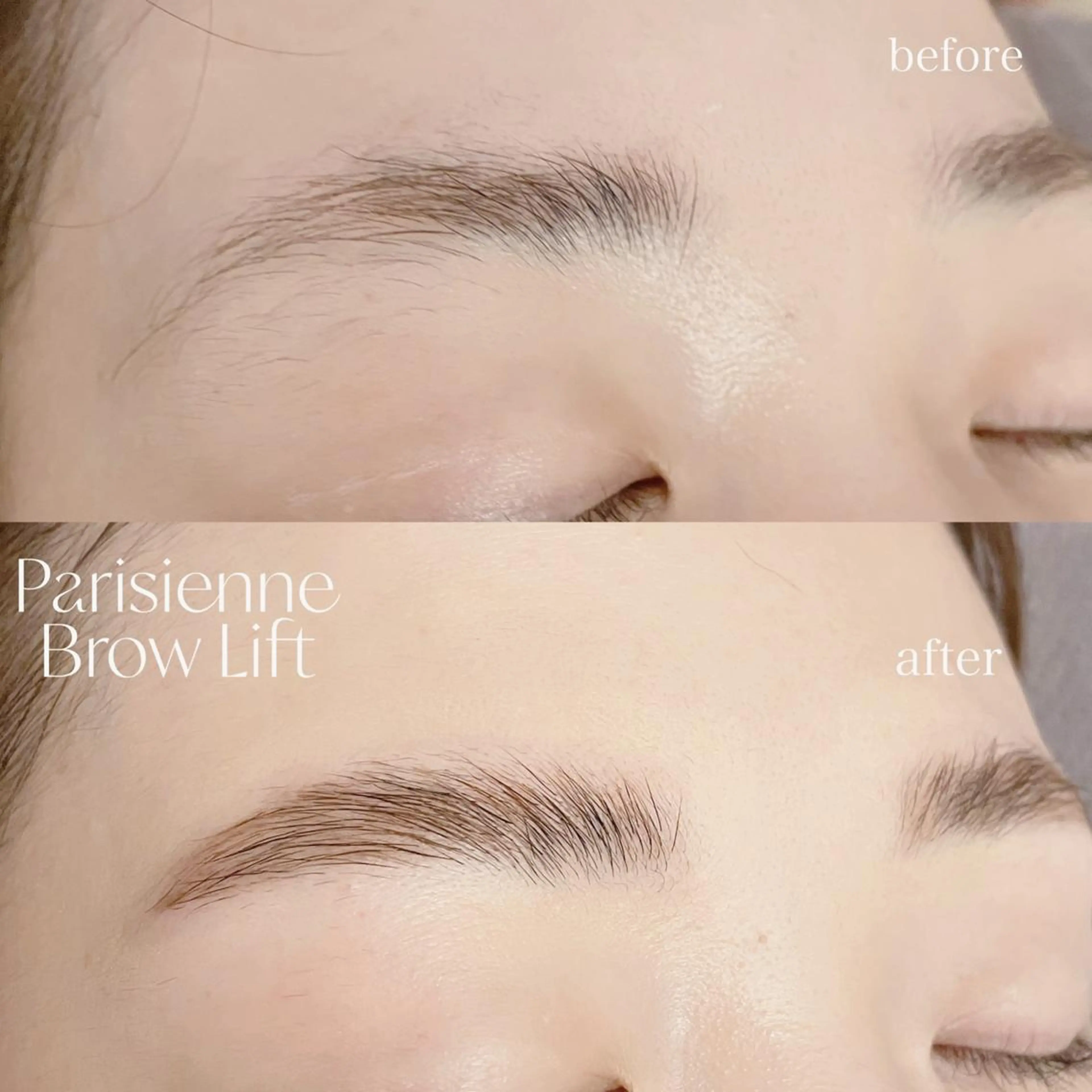 アイブロウ ワックス脱毛 その他(アイブロウ) ｍｉｐｐｙ 🪽のマツエク・マツパデザイン