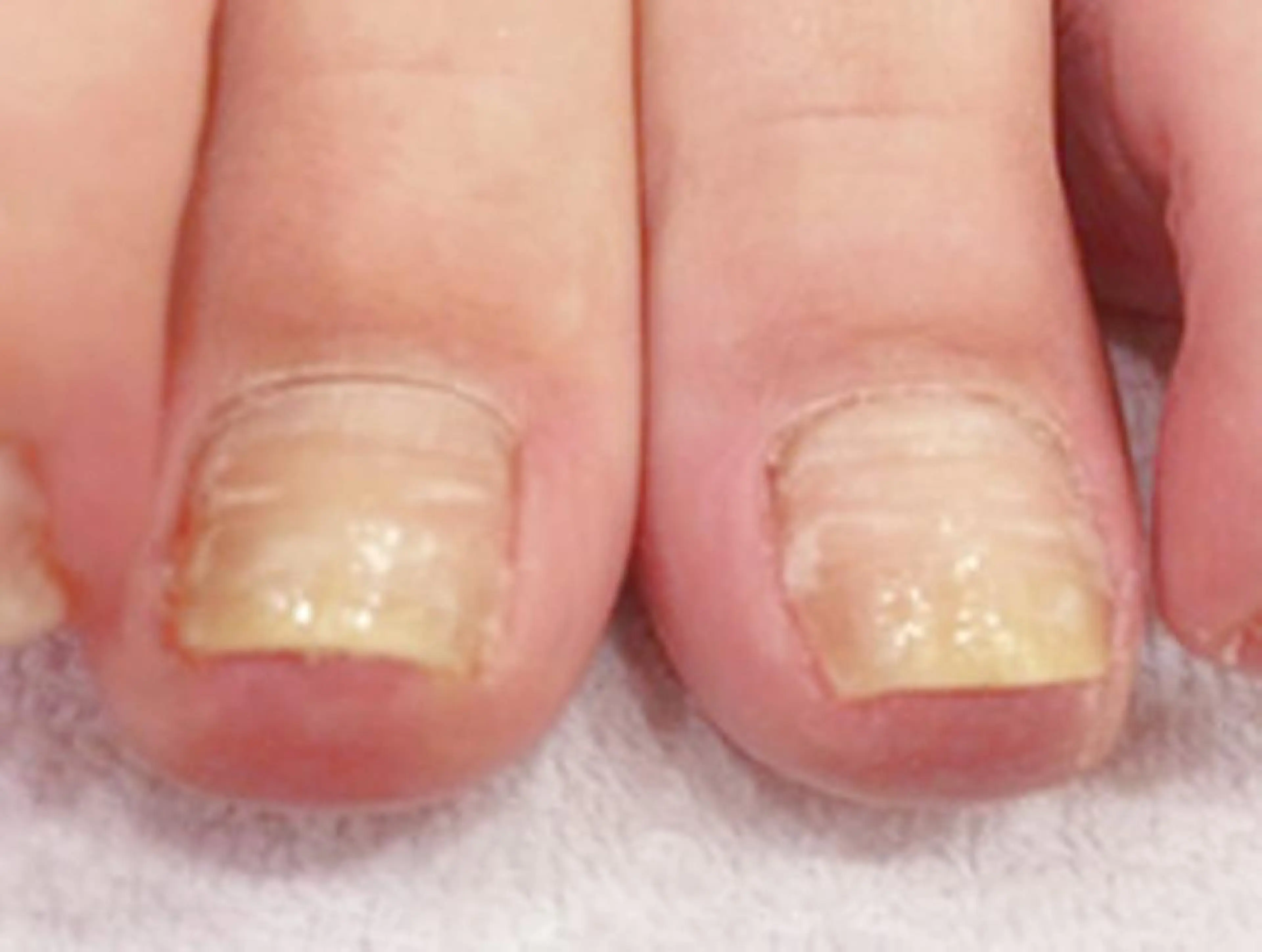 ネイル y. salonのマツエク・マツパデザイン