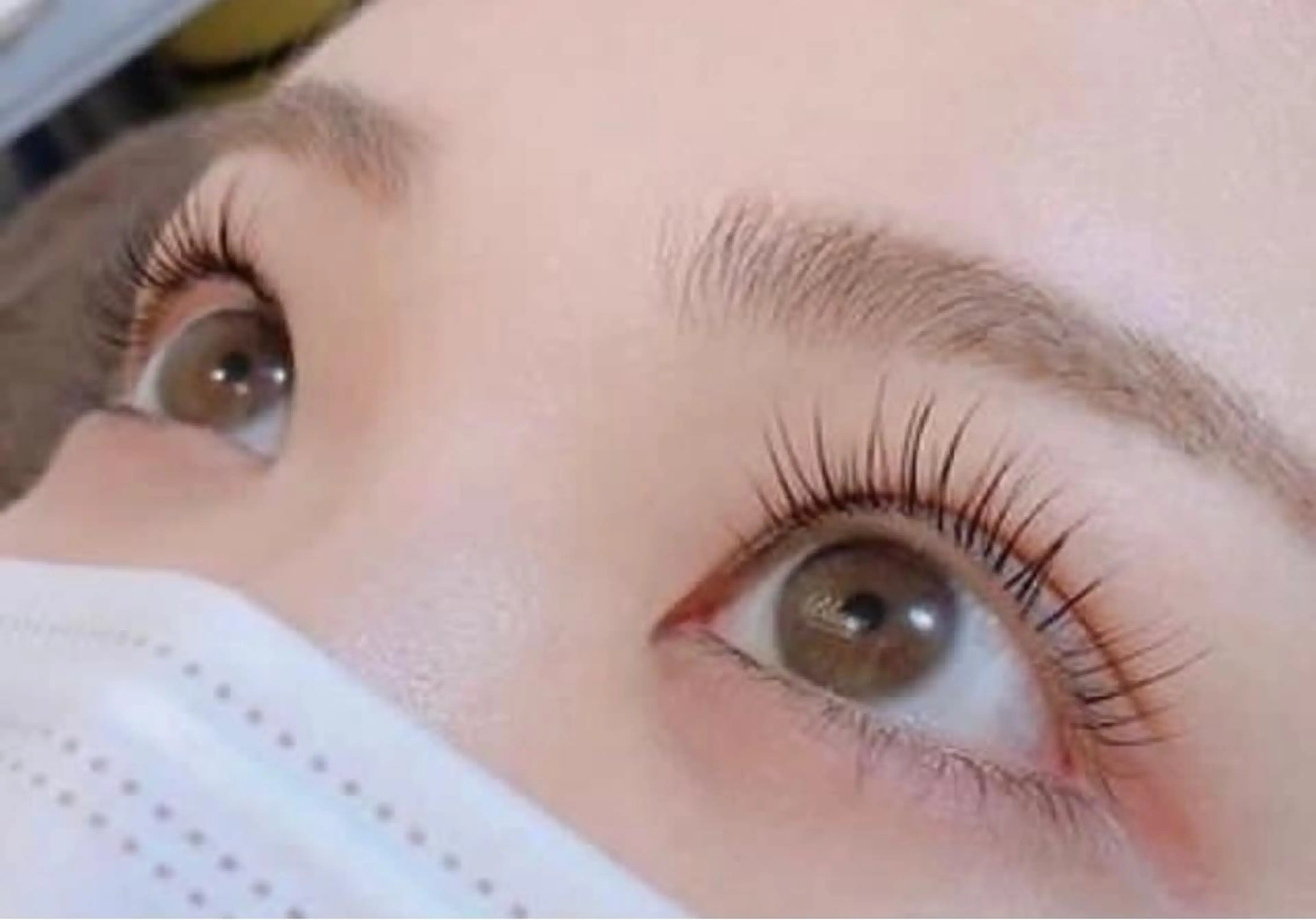 ⭐︎最高級セーブル180本の写真