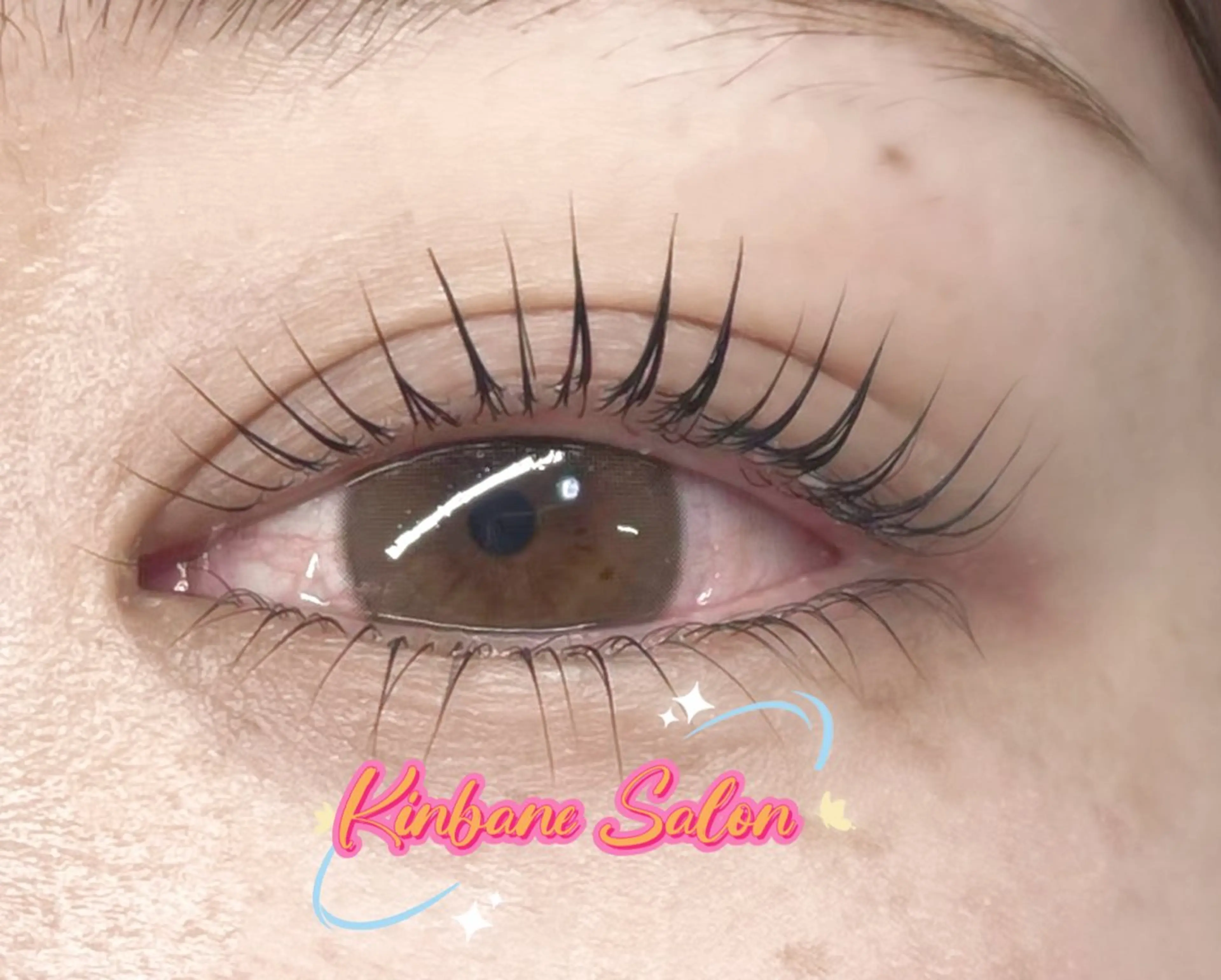 マツエク・マツパ 韓国風マツエク パリジェンヌラッシュリフト まつげパーマ 下まつげエクステ 一重×まつ毛パーマ マツパ キンバネ・サロン 高田馬場店のマツエク・マツパデザイン