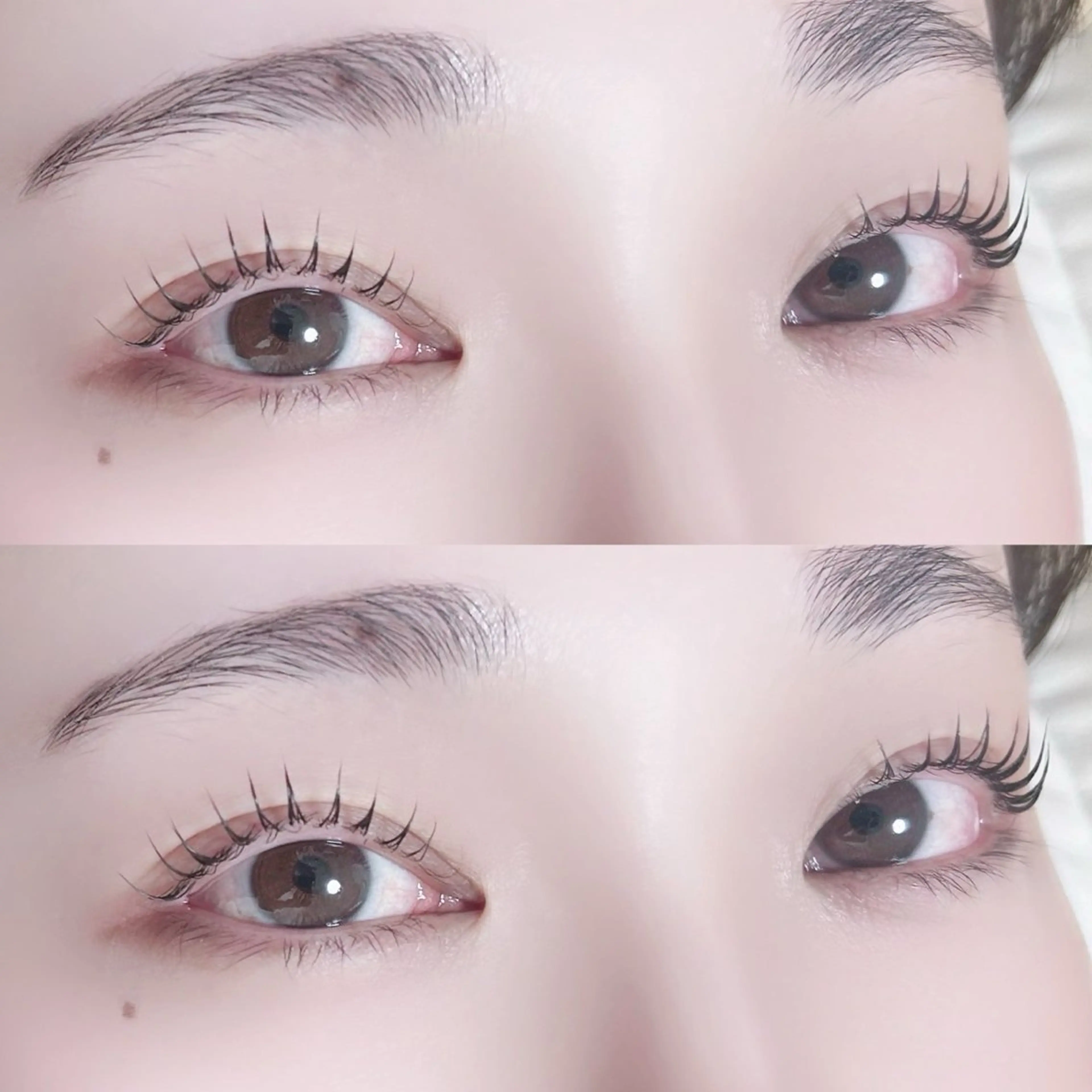 マツエク・マツパ マツパ 艶カラー/マツエク /似合わせ🤍ななえのマツエク・マツパデザイン